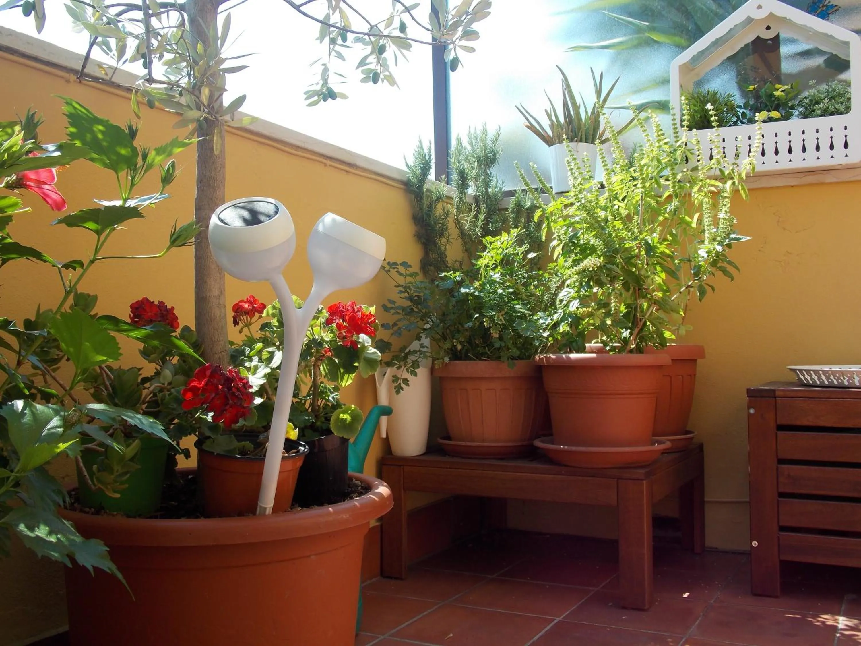 Balcony/Terrace in B&B Dei Cavalieri