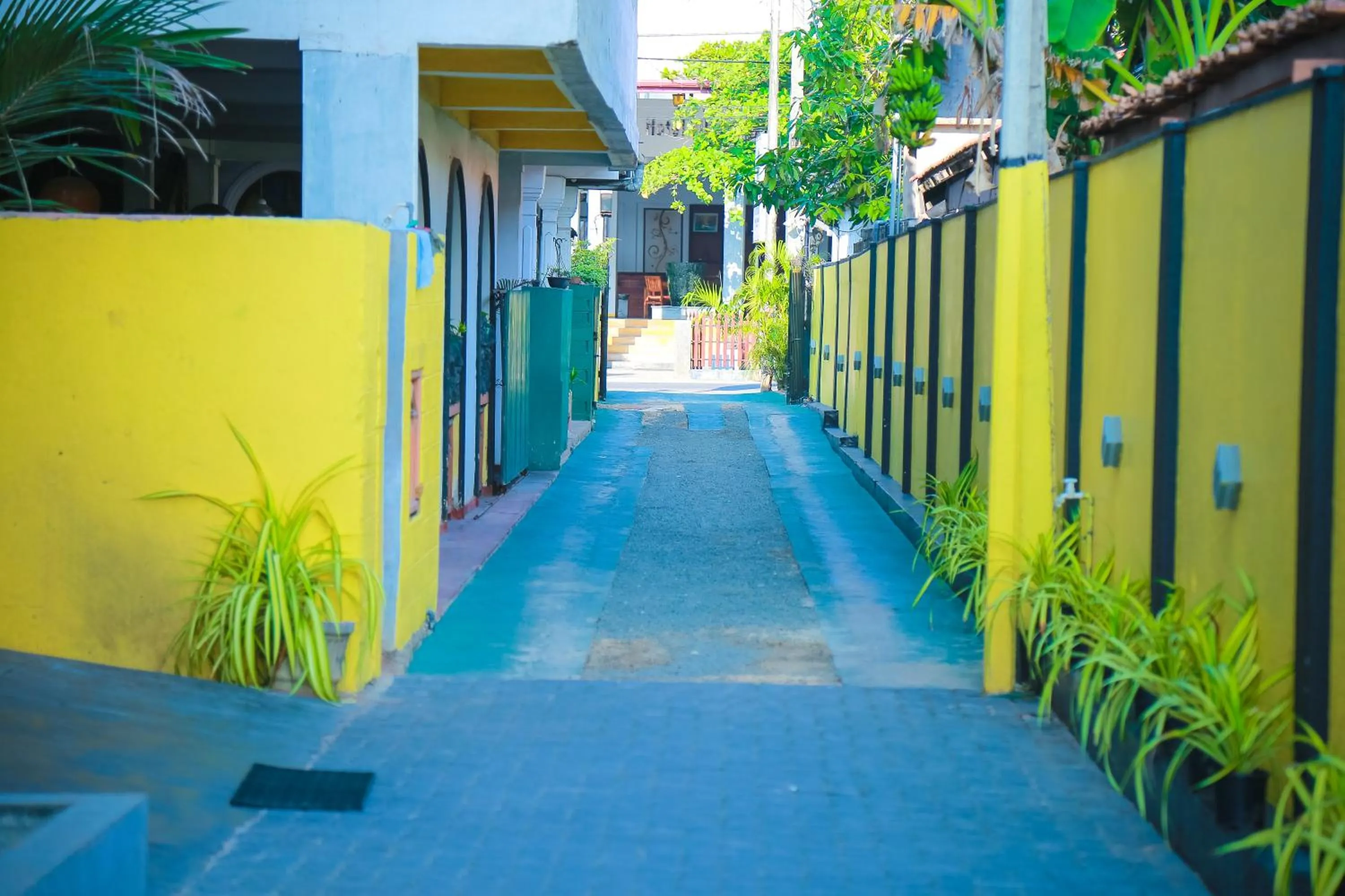 Restaurant/places to eat in Funky Hotel