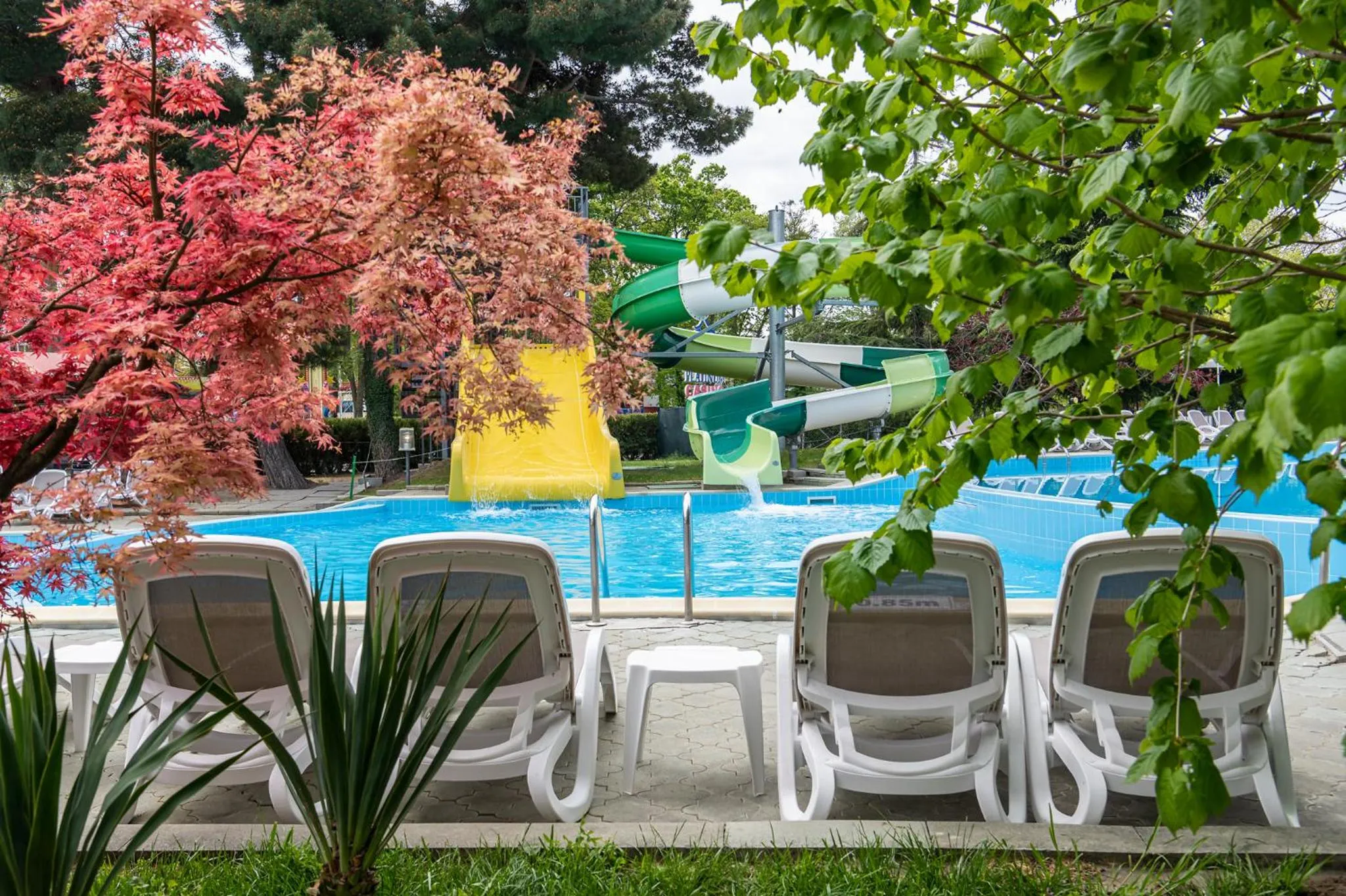 Swimming pool in iHotel Sunny Beach