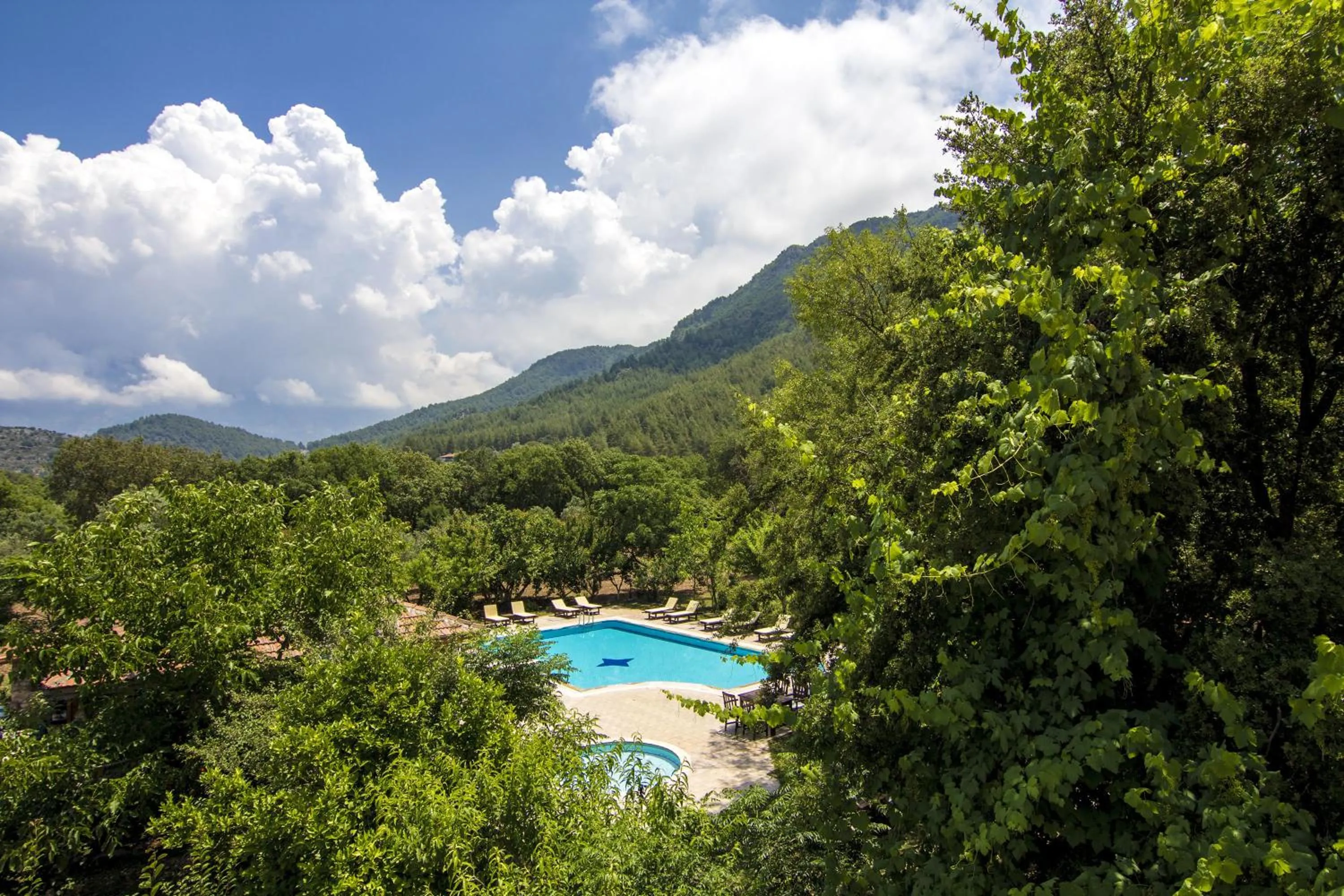 Garden view in Doga Apartments