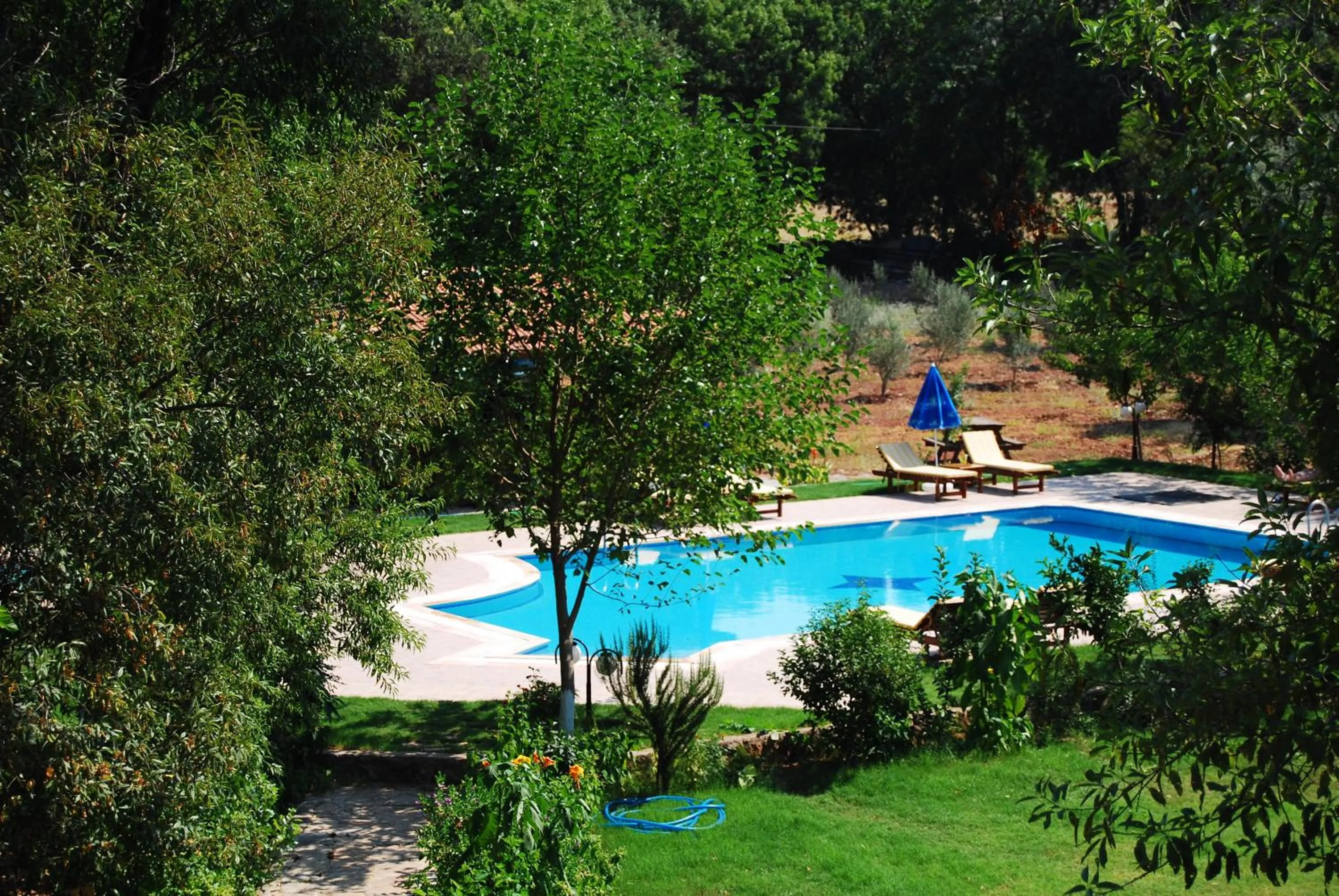 Garden view in Doga Apartments