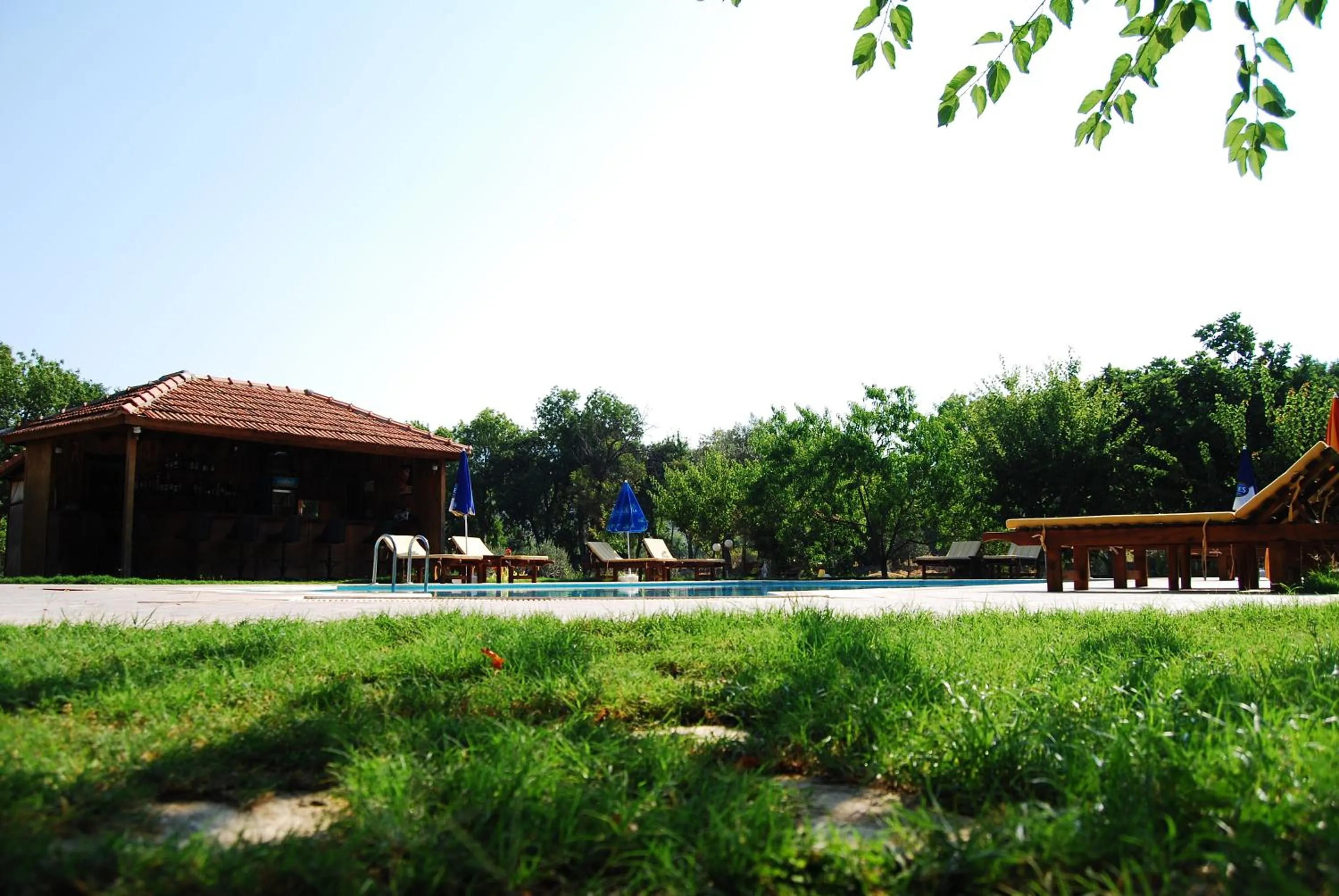 Decorative detail in Doga Apartments