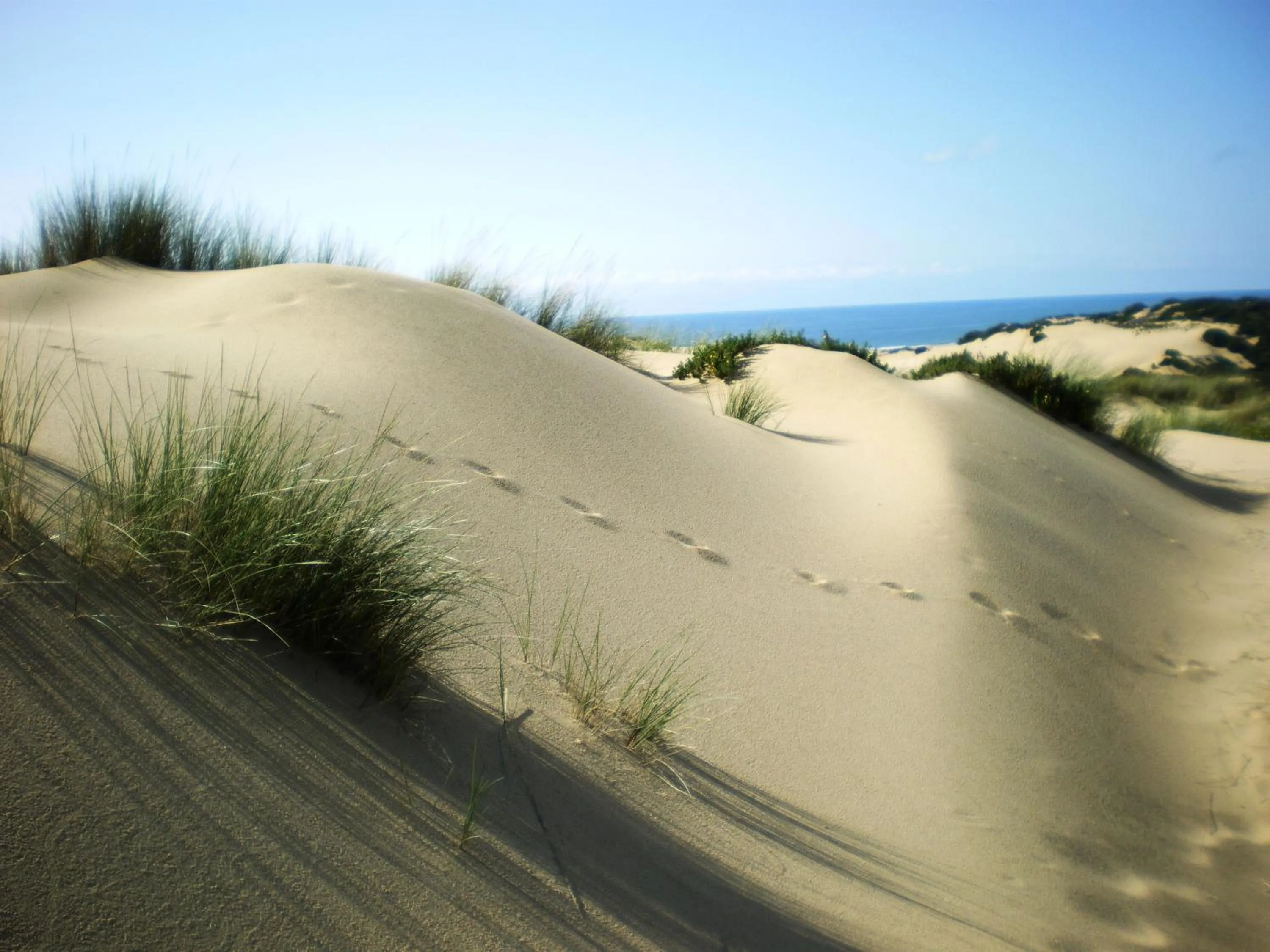 Hiking in Hotel Giardino Corte Rubja