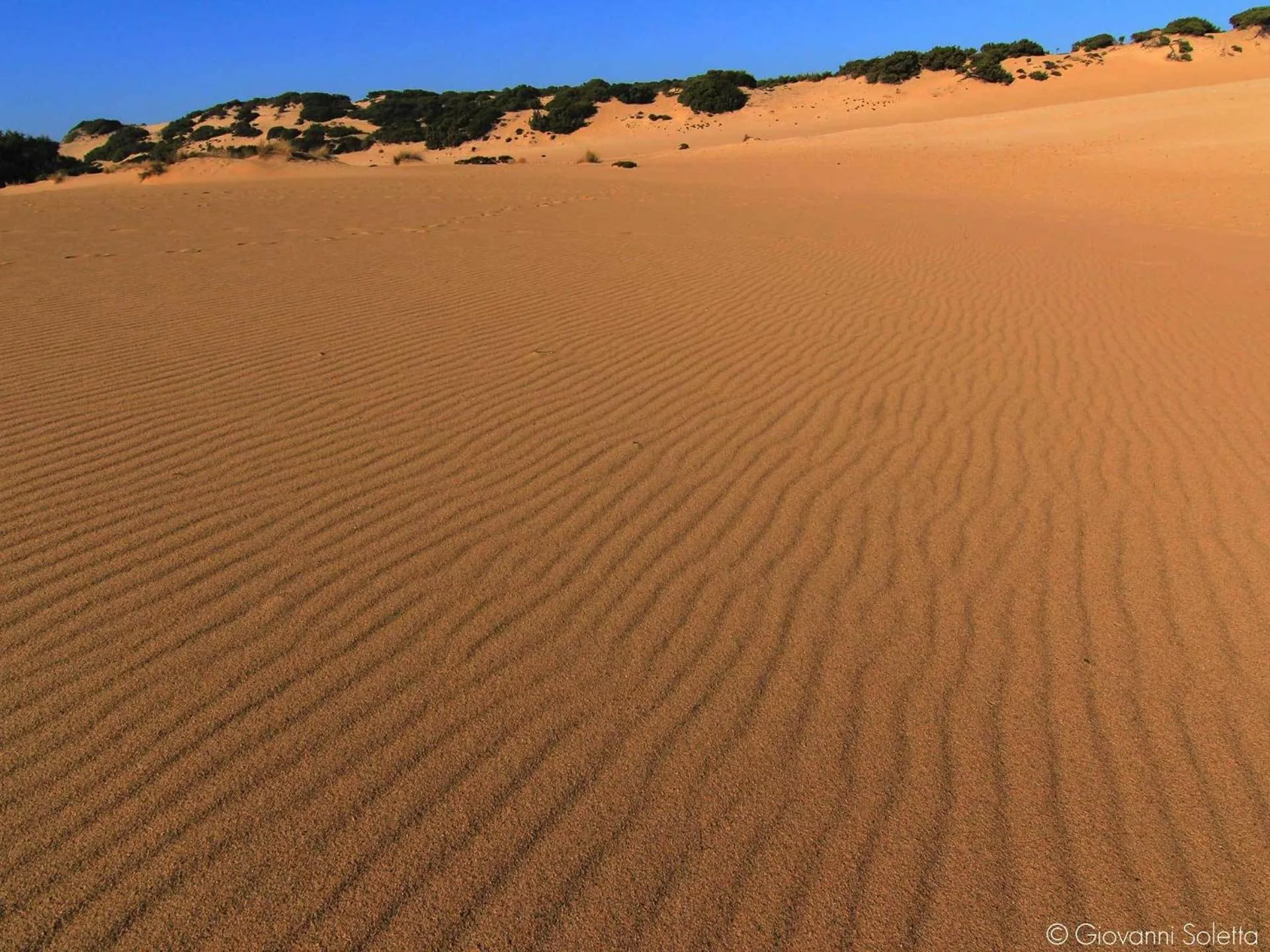 Hiking in Hotel Giardino Corte Rubja