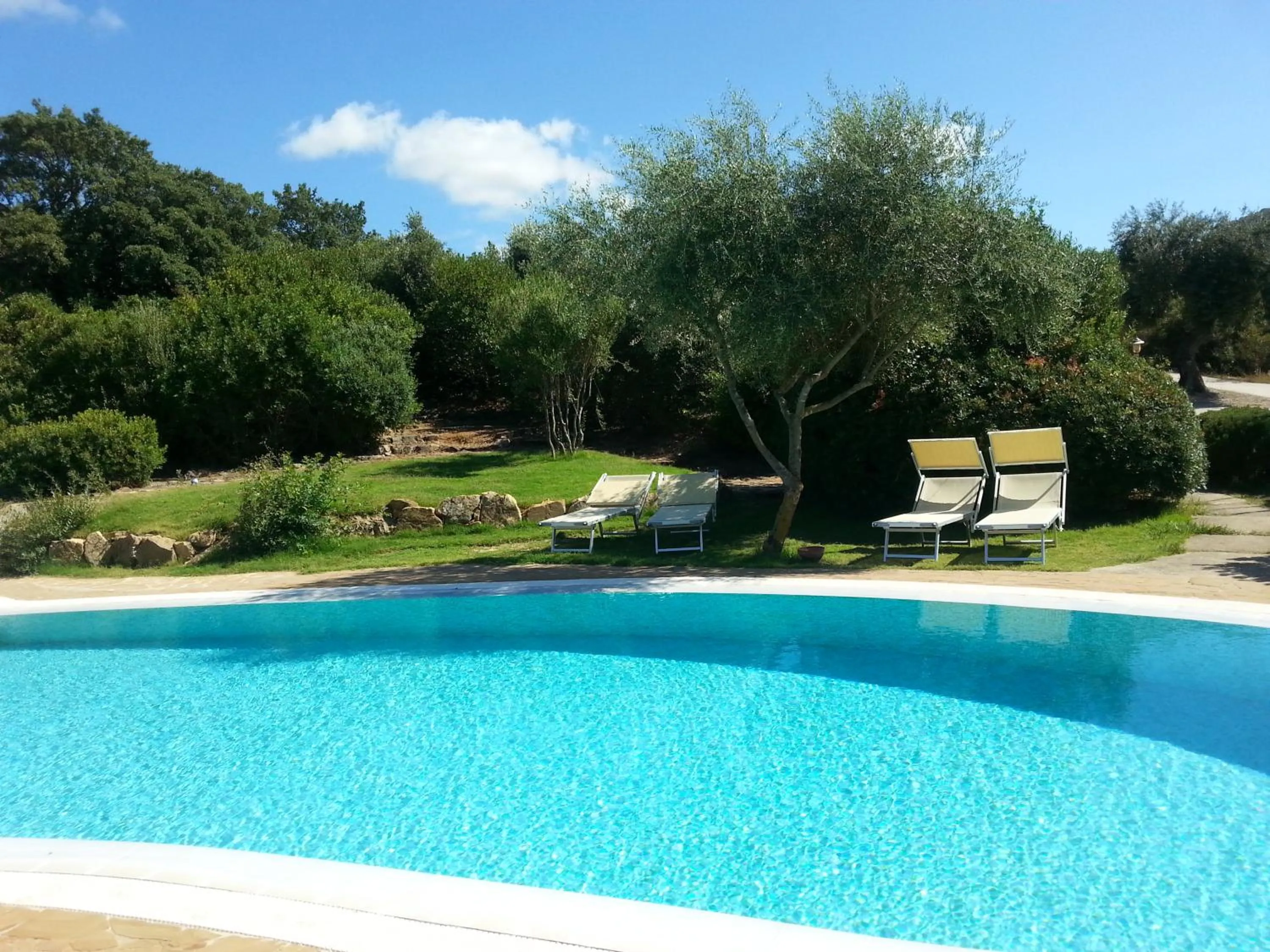 Garden in Hotel Giardino Corte Rubja