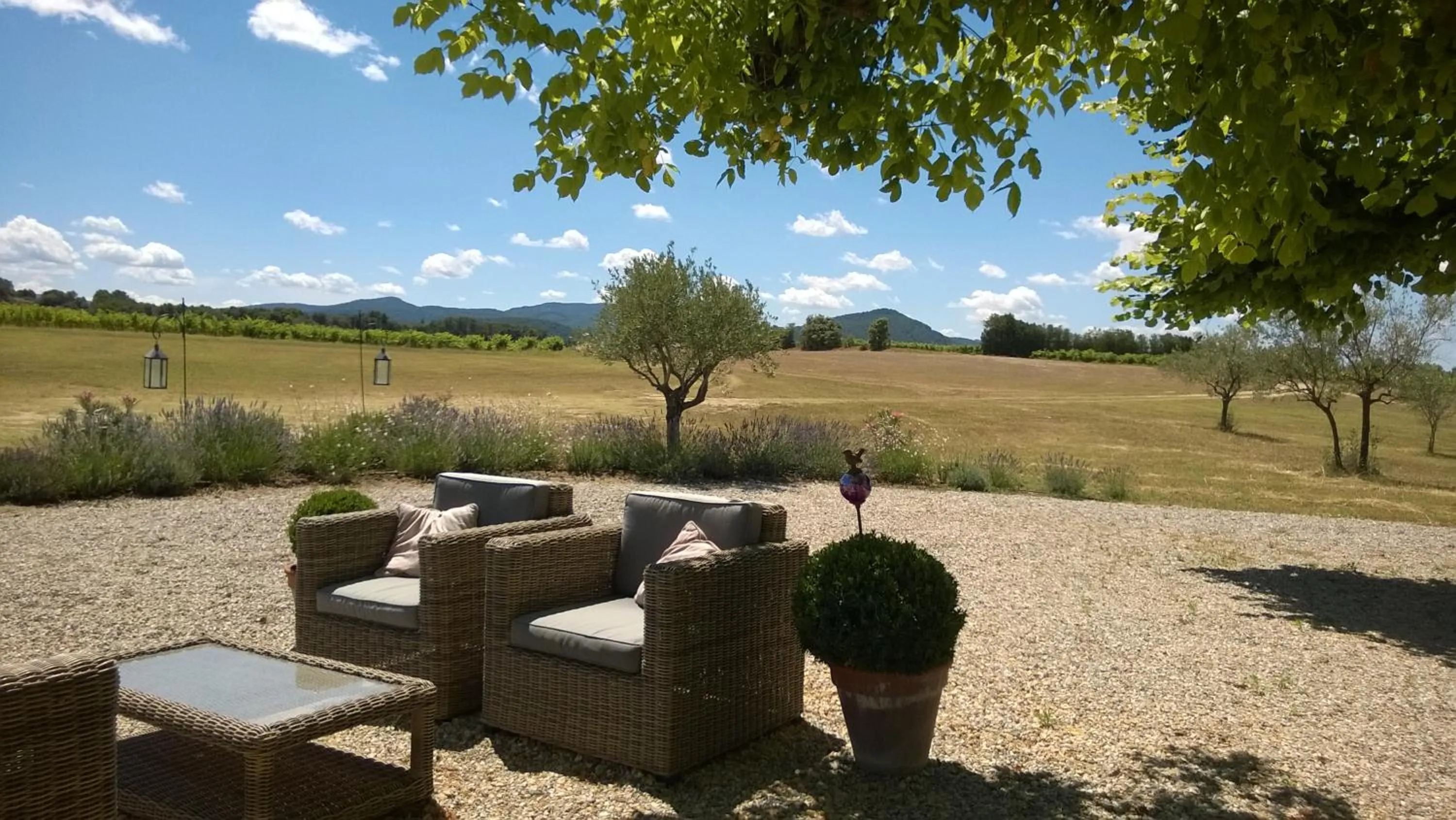 Garden view in Mas du Vieux Tilleul