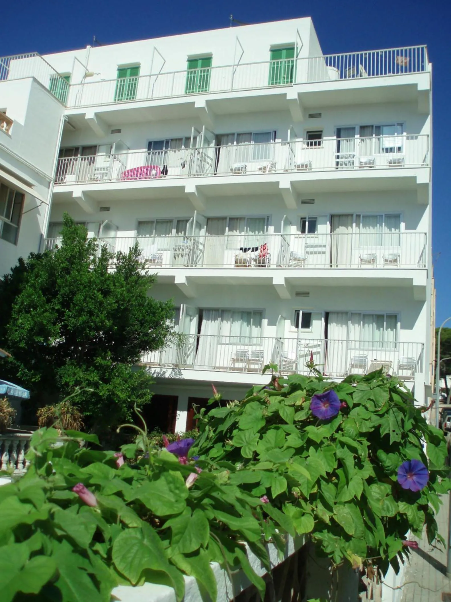 Balcony/Terrace in Hostal Cas Bombu