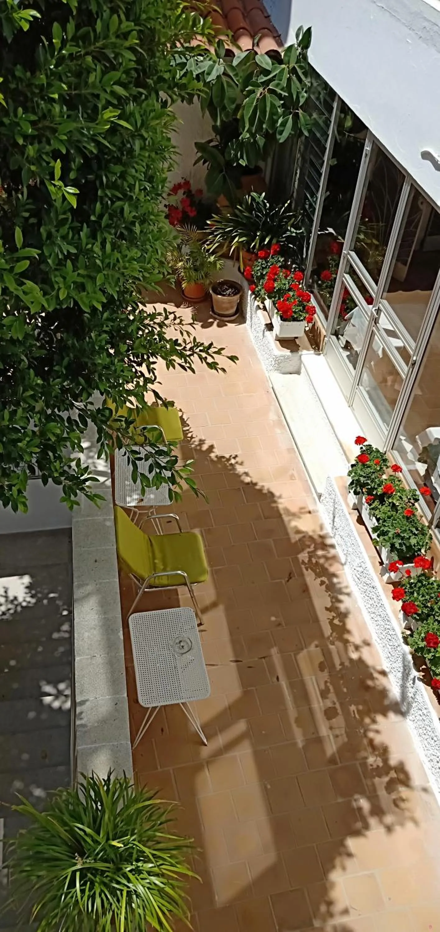 Garden view in Hostal Cas Bombu