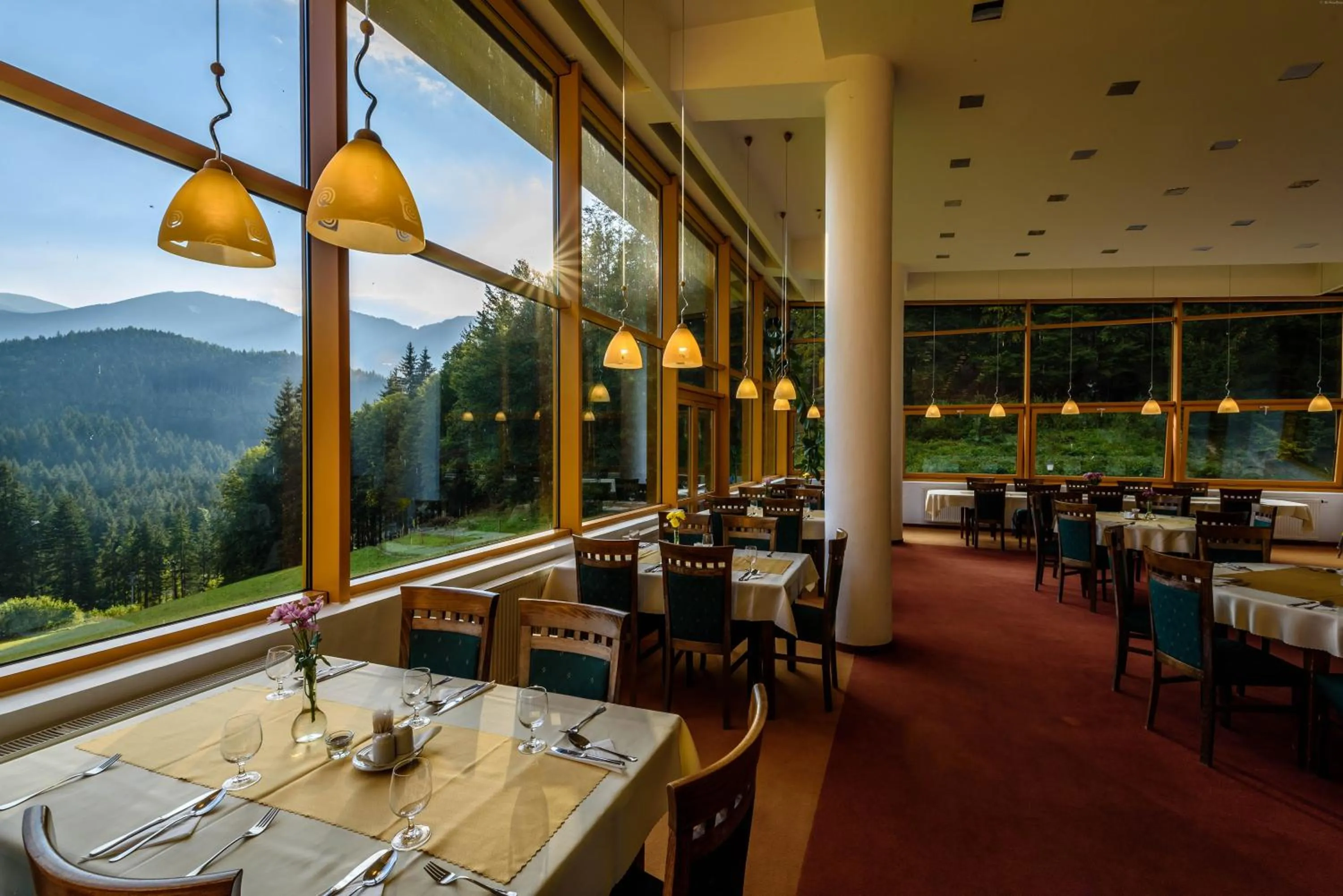 Restaurant/places to eat in Hotel Boboty