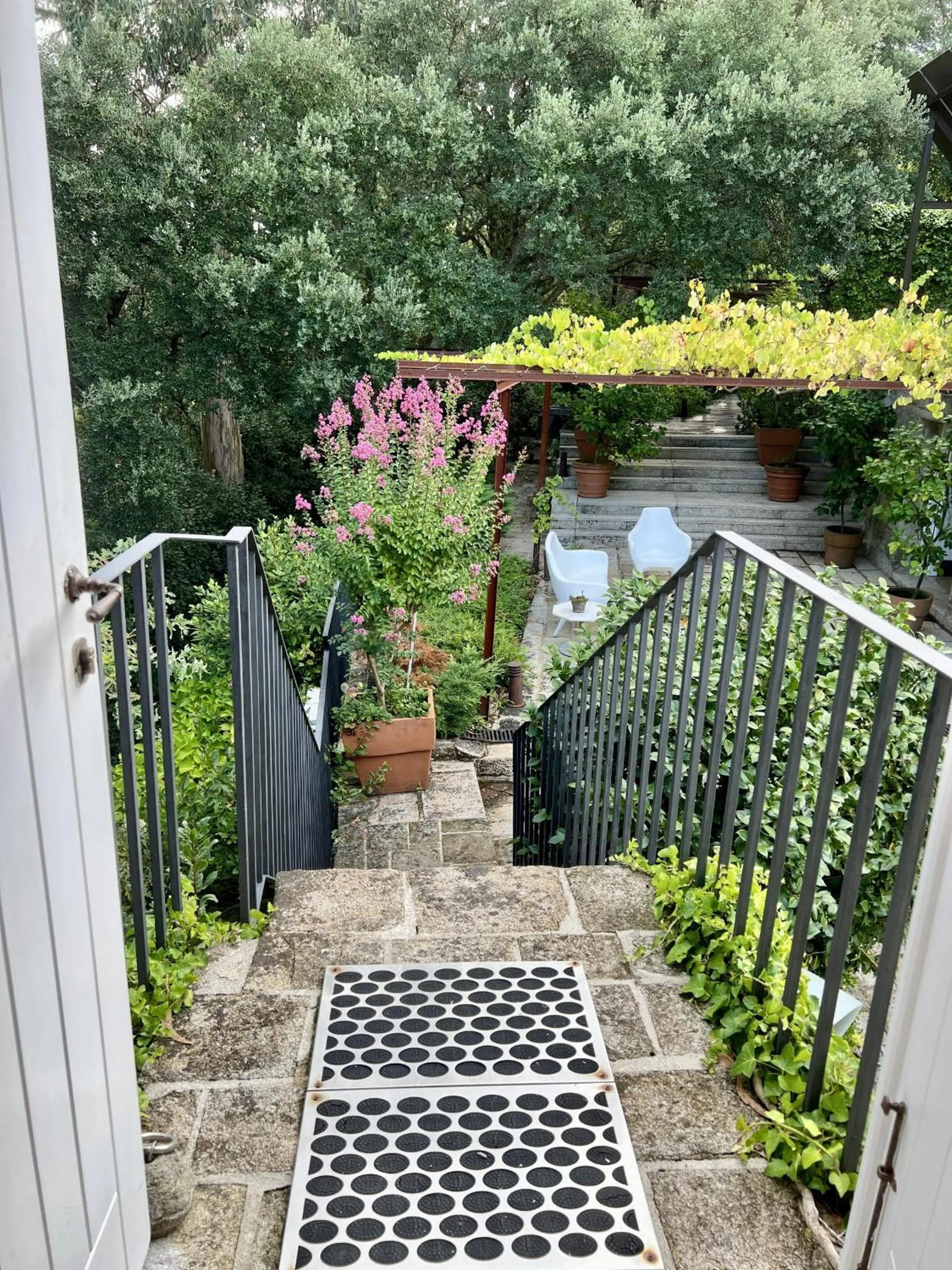 Garden in Enoturismo Novavila Rias Baixas Wine Design