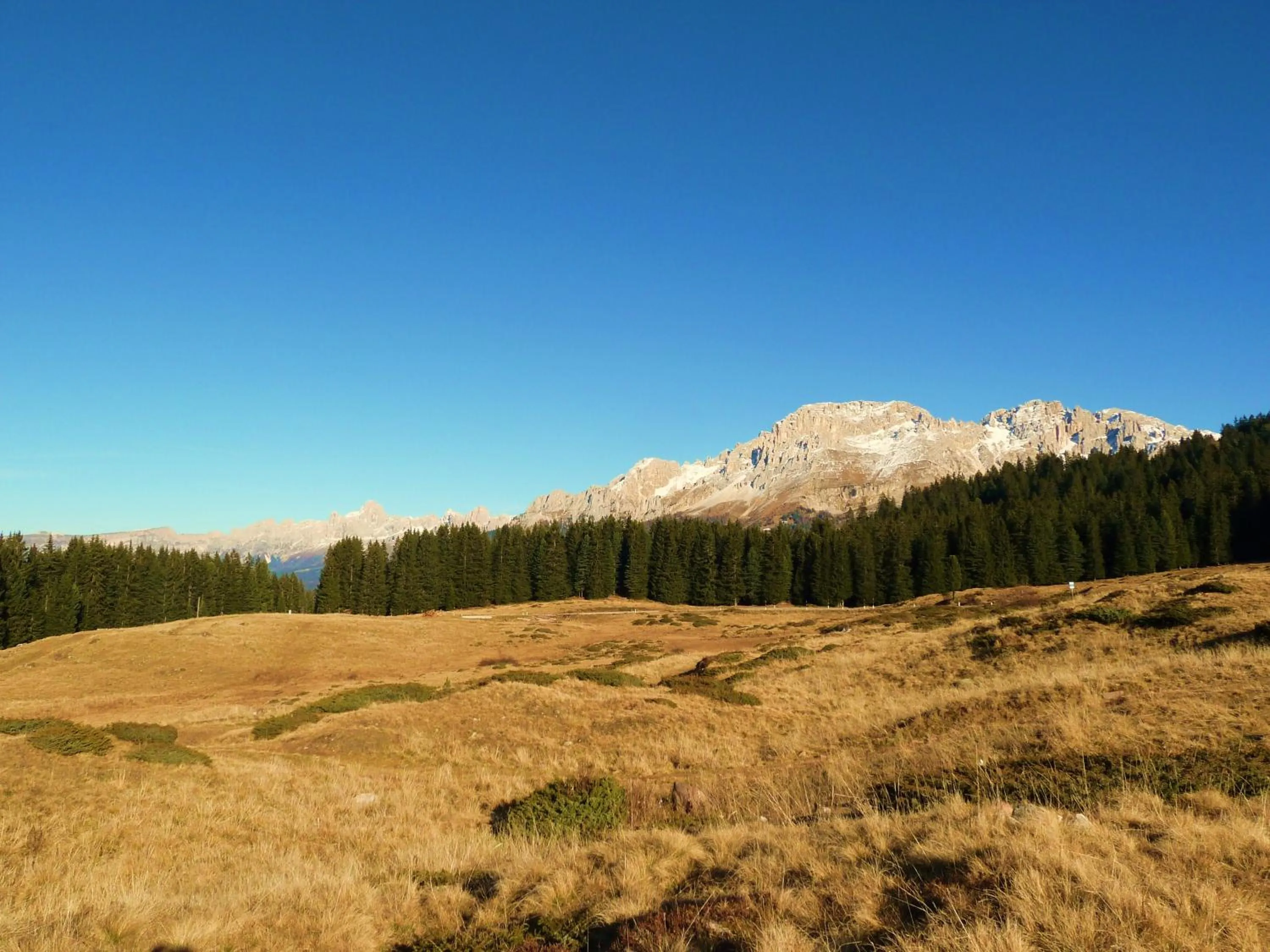 Other in Albergo Bellaria