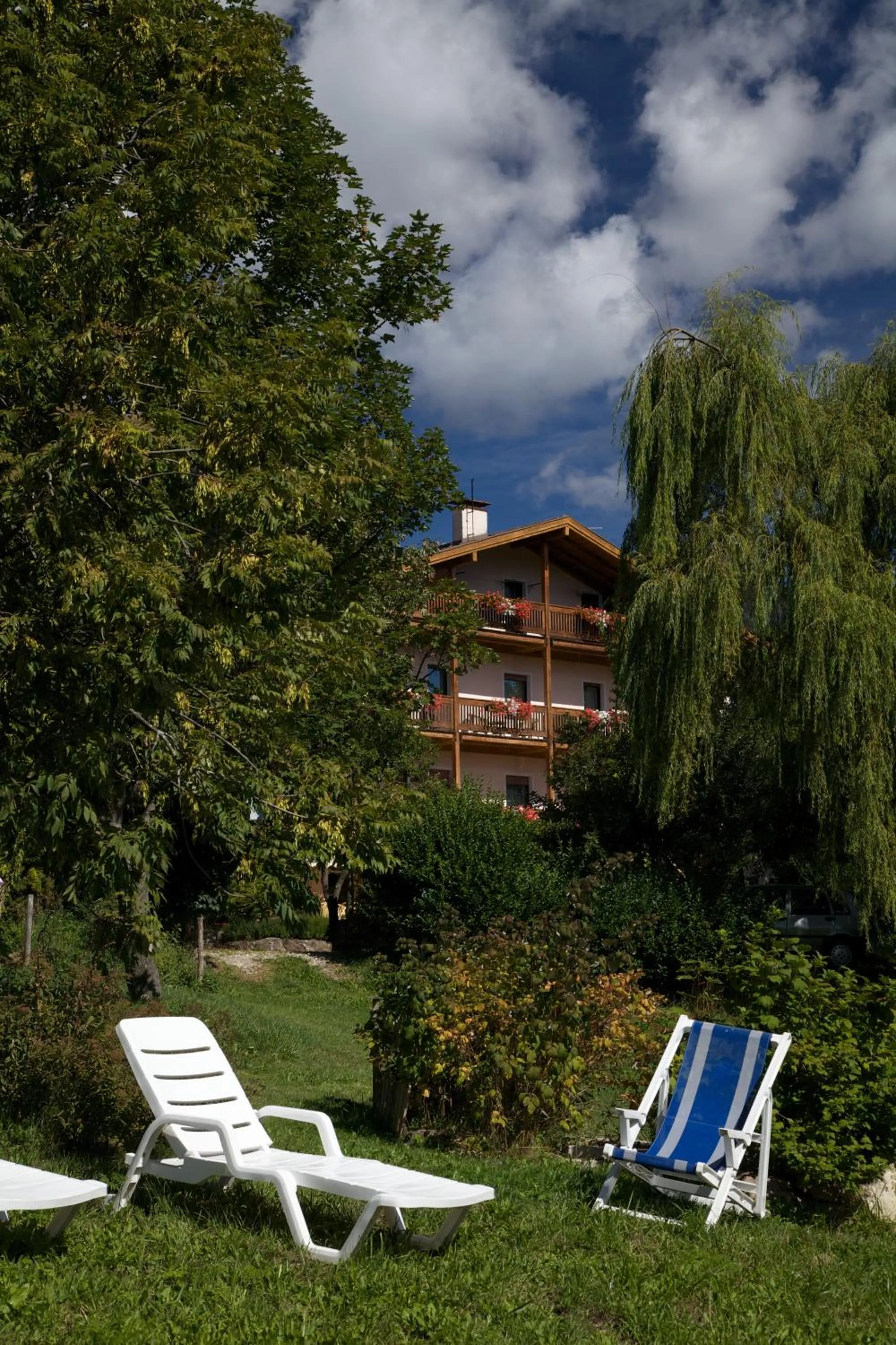 Garden in Albergo Bellaria