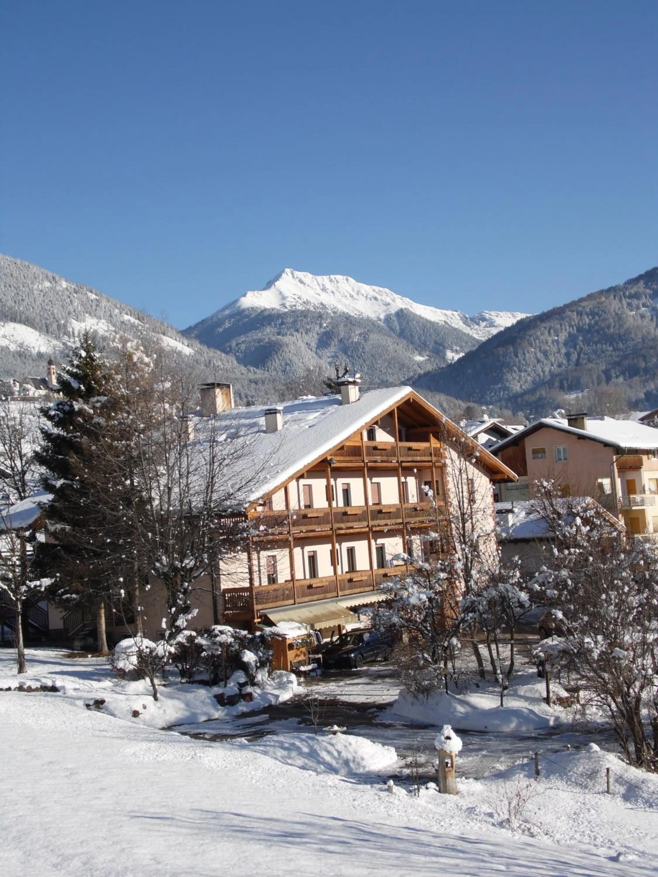 Winter in Albergo Bellaria