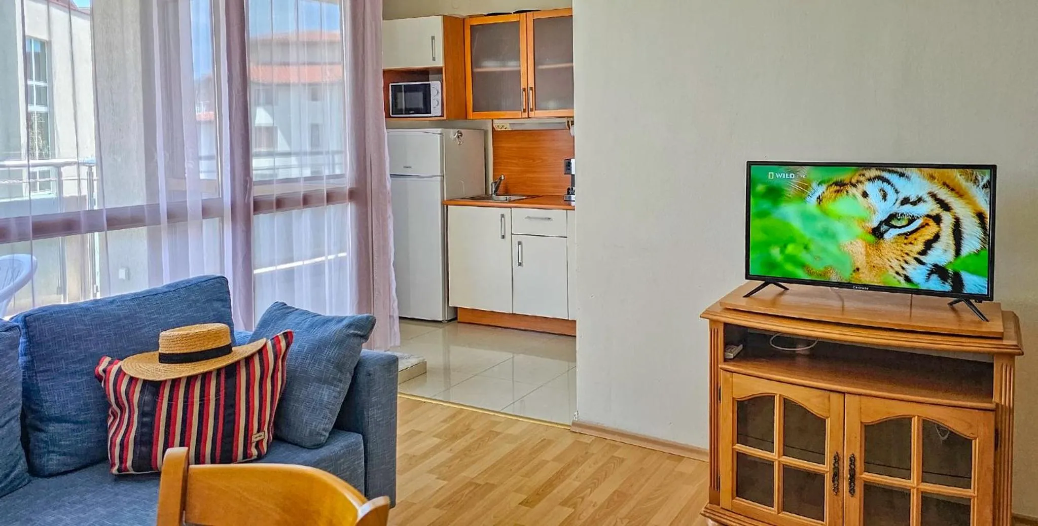 TV and multimedia in Sun City I Apartments