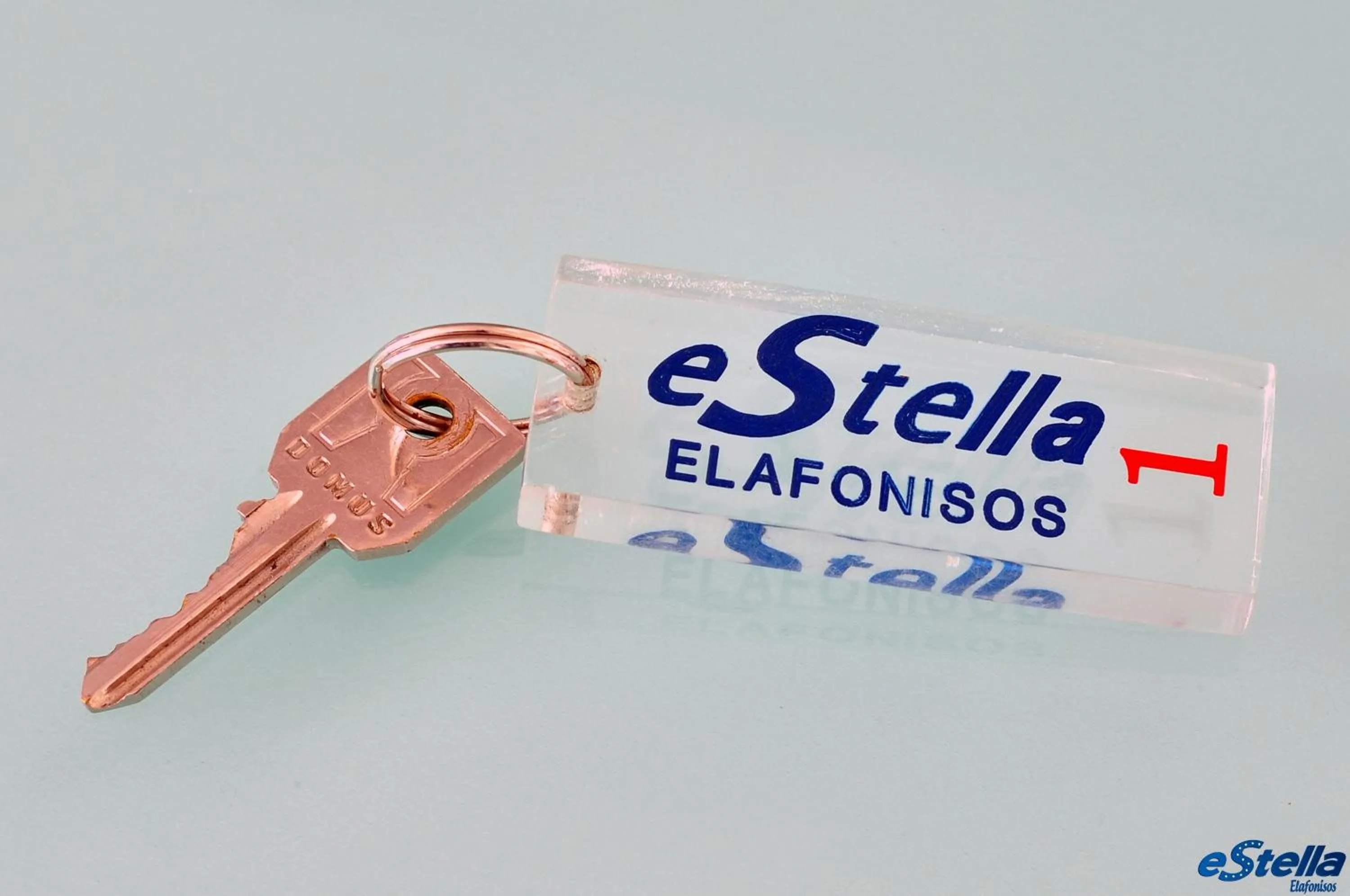 Decorative detail in Estella Studios