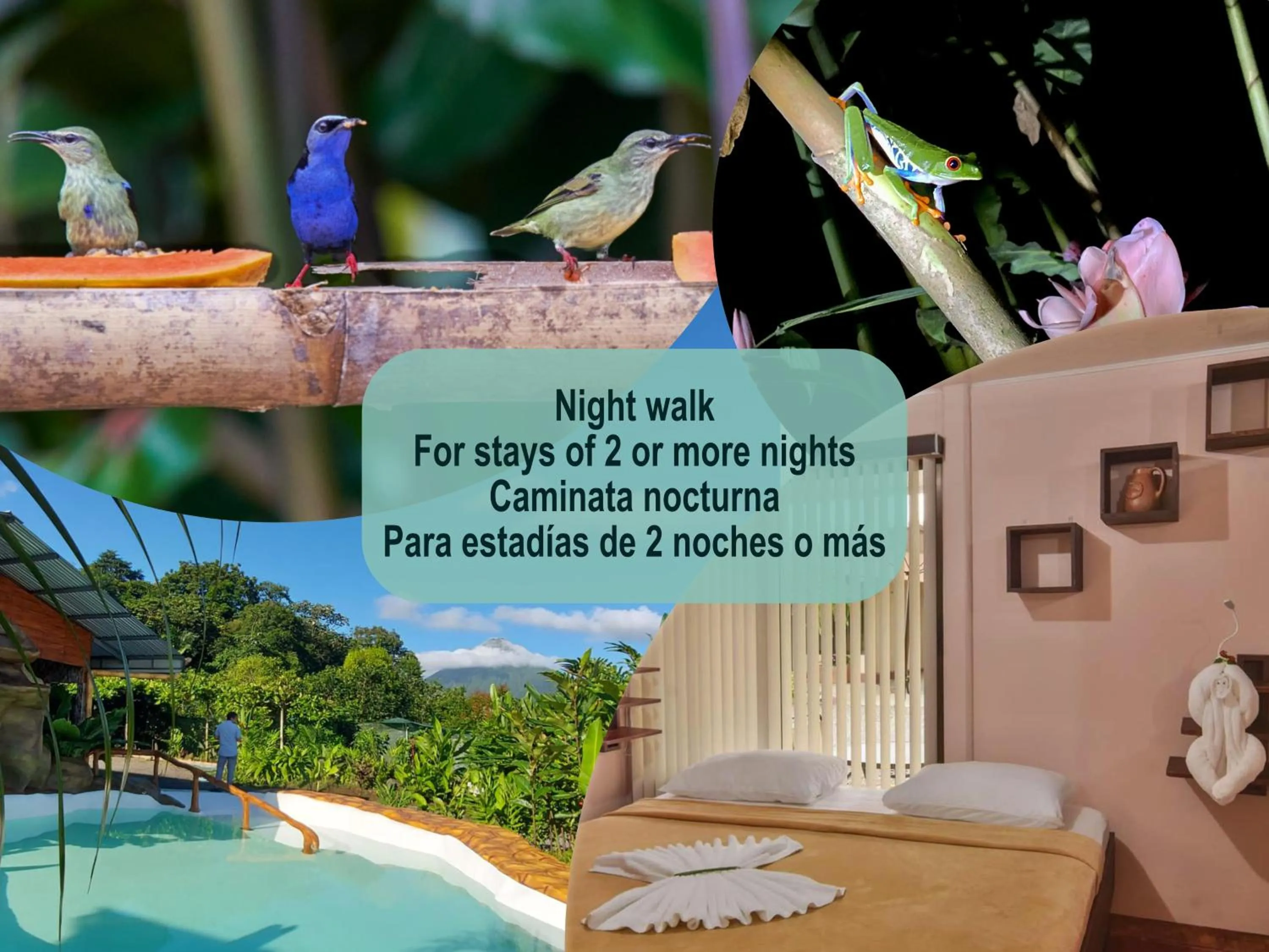 Property building in Cabañas del Rio