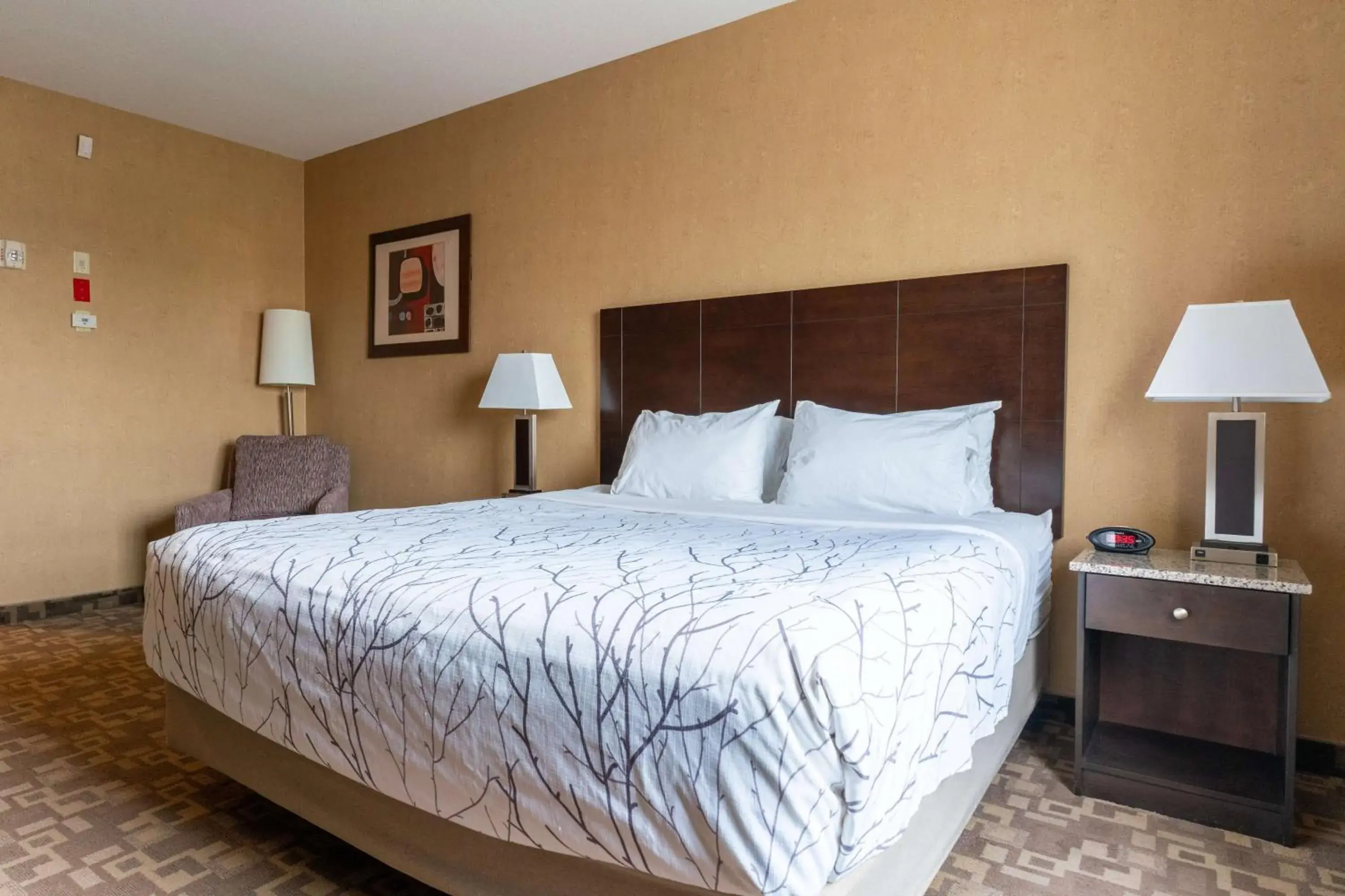 Bedroom, Bed in Best Western Plus South Edmonton Inn & Suites Bedroom, Bed in Best Western Plus South Edmonton Inn & Suites