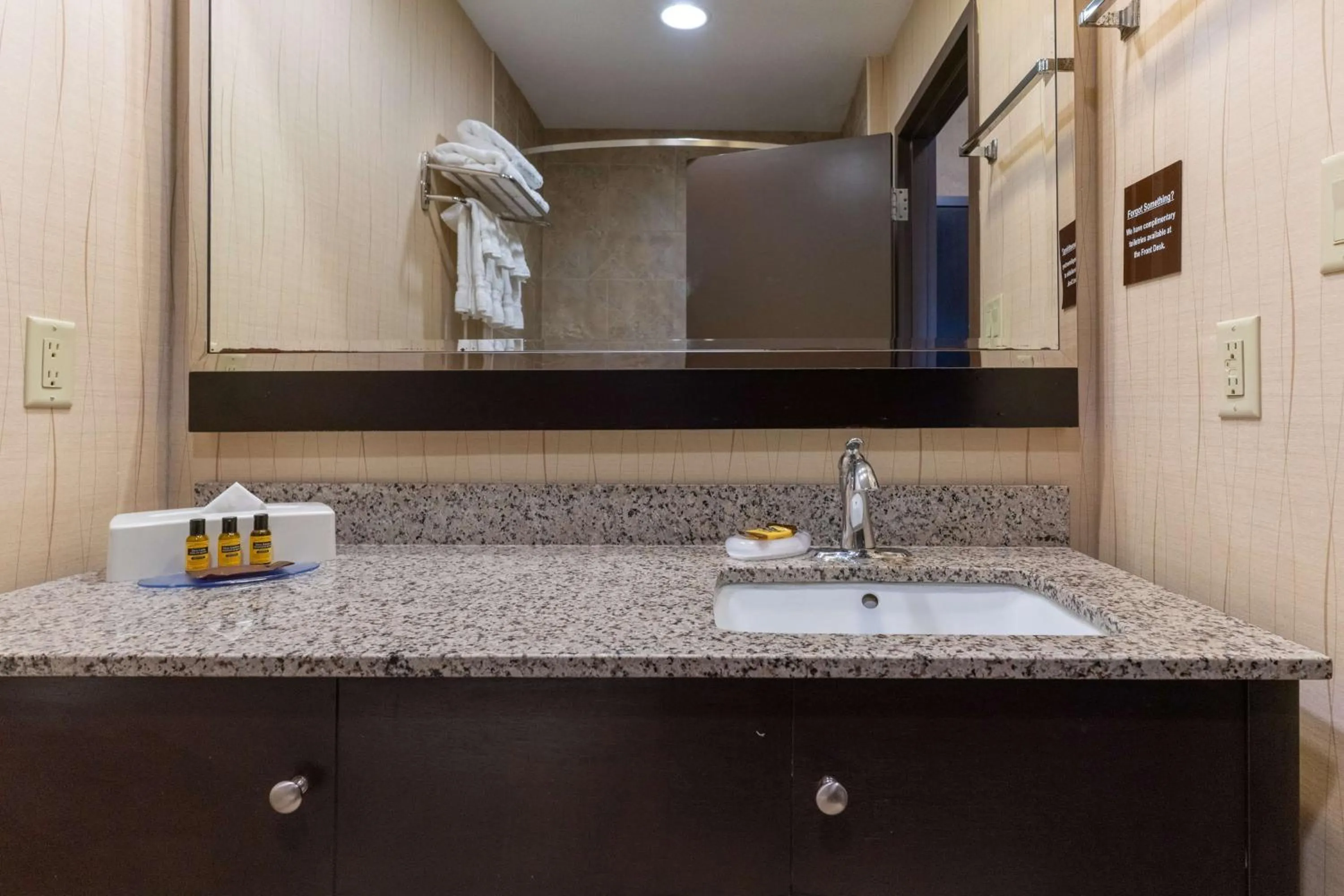 Bathroom in Best Western Plus South Edmonton Inn & Suites