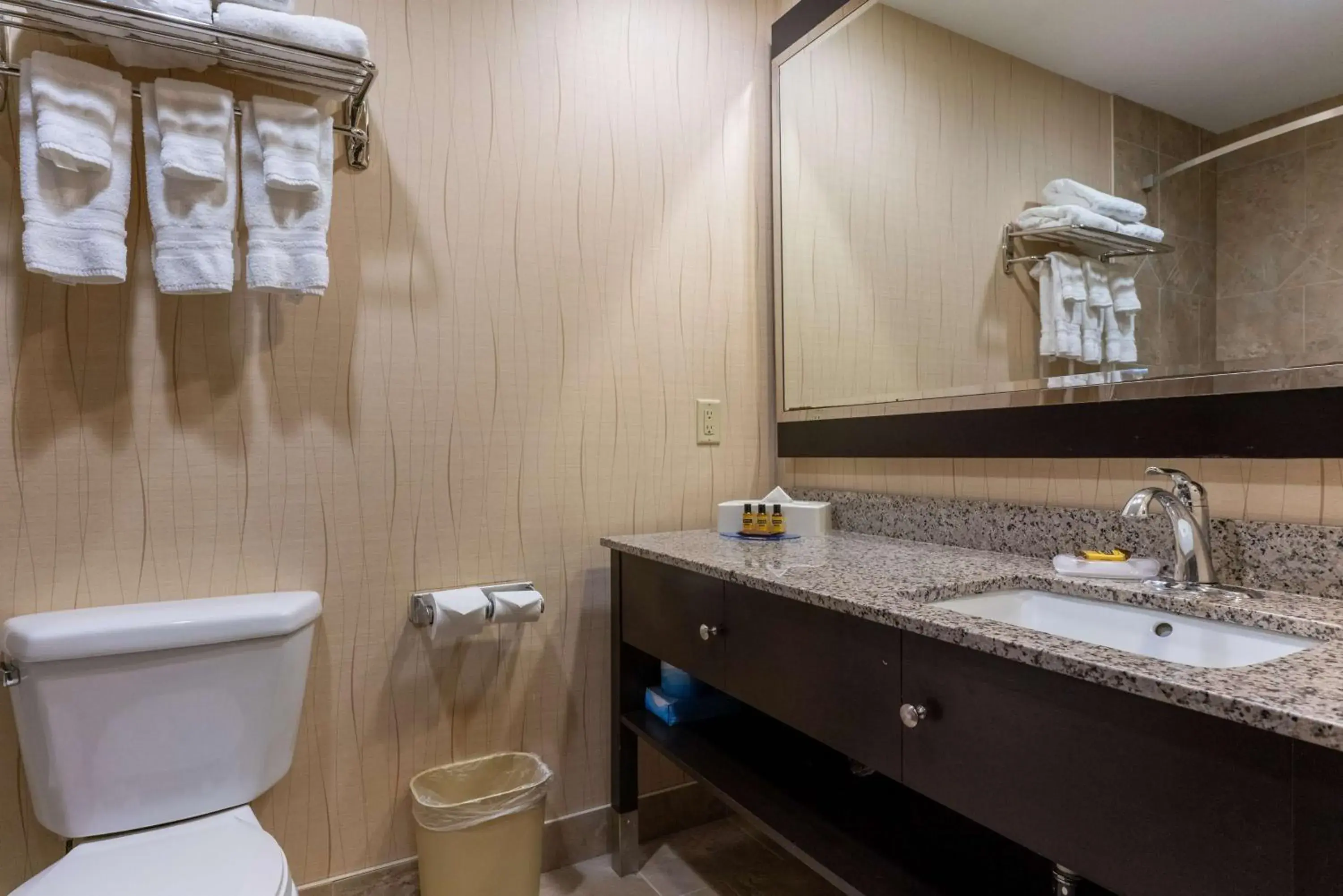 Bathroom in Best Western Plus South Edmonton Inn & Suites Bathroom in Best Western Plus South Edmonton Inn & Suites