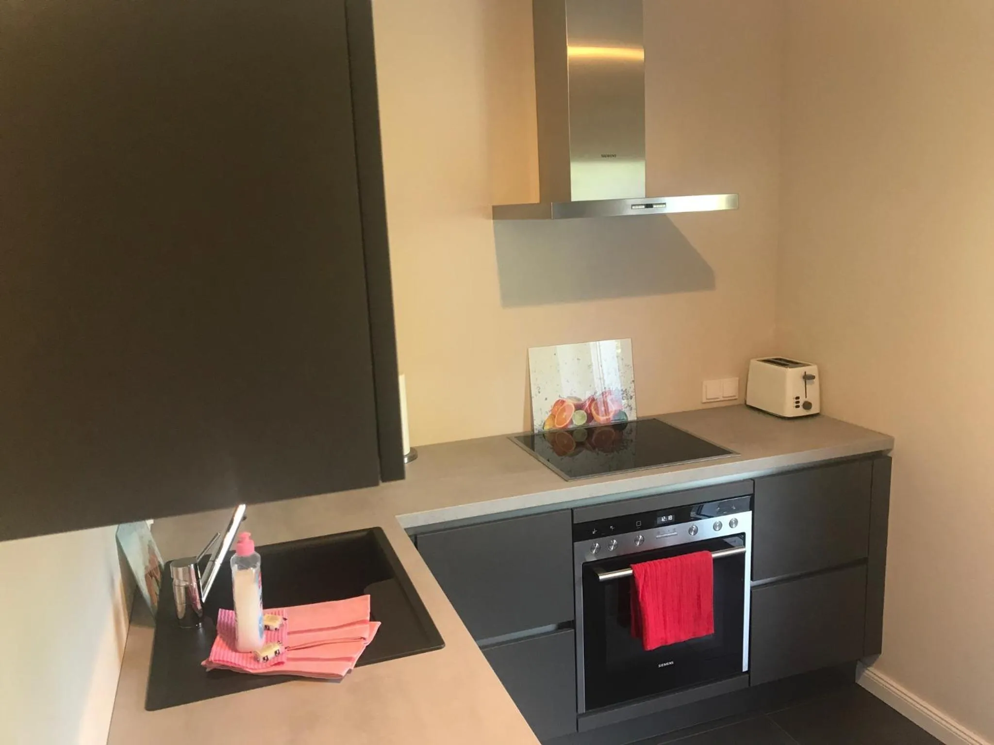 Kitchen or kitchenette in Ferienwohnung Gipfelnest
