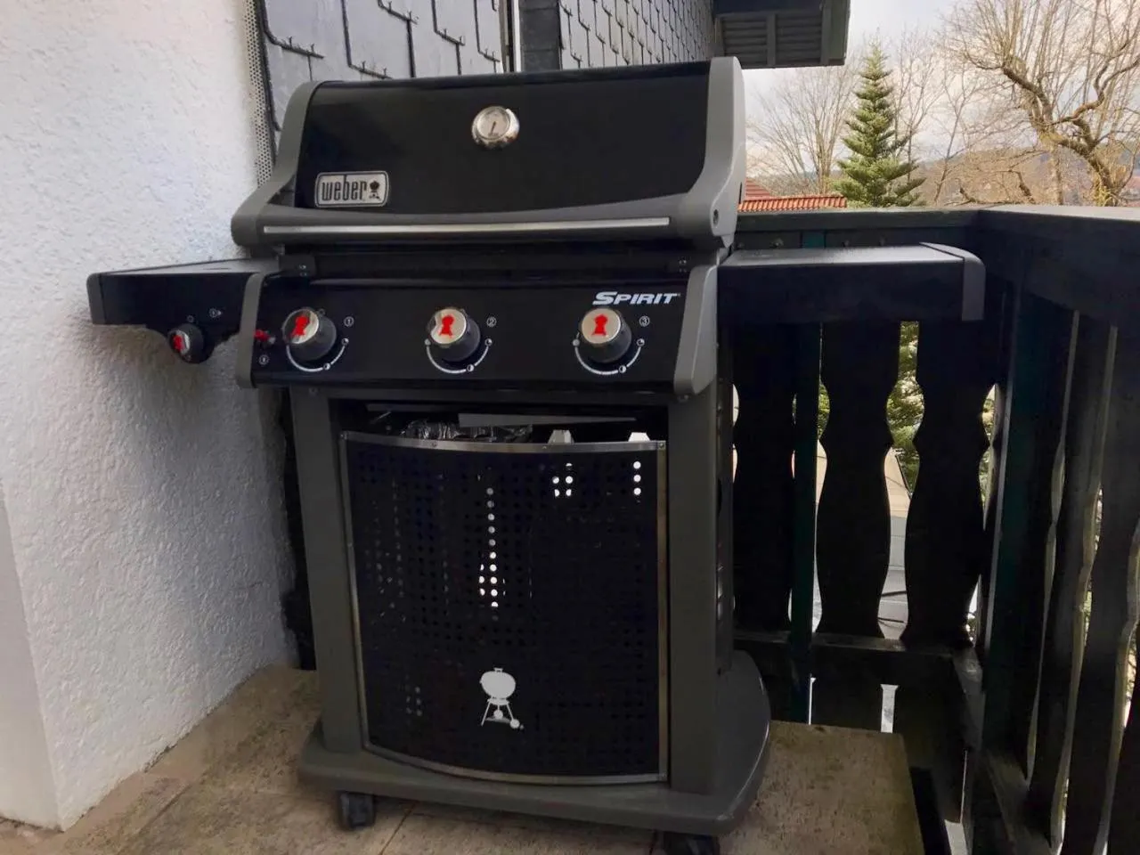 BBQ facilities in Ferienwohnung Gipfelnest