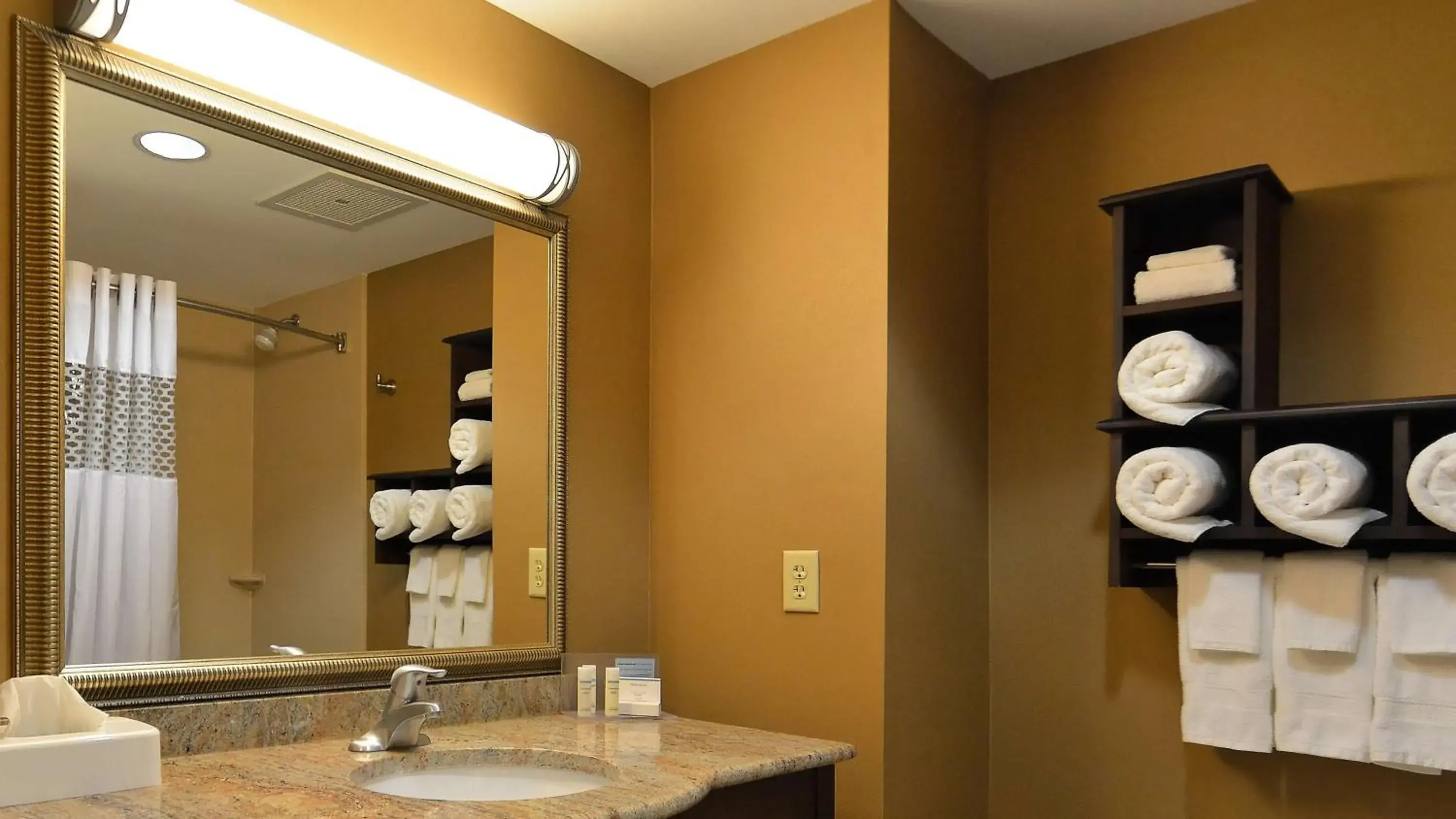 Bathroom in Hampton Inn Geneseo Bathroom in Hampton Inn Geneseo