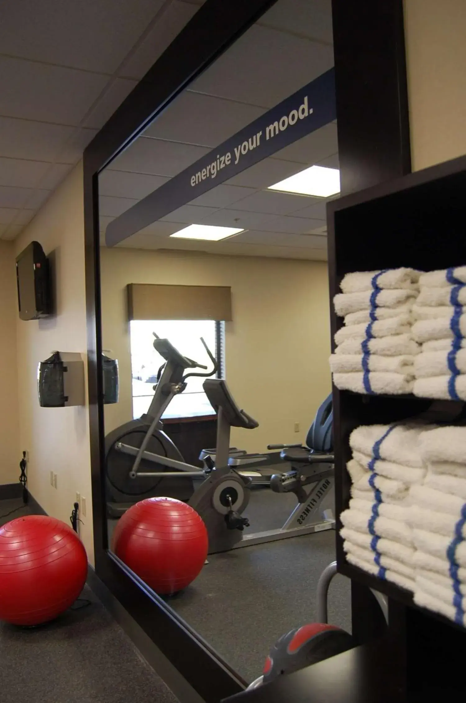 Fitness centre/facilities in Hampton Inn Geneseo Fitness centre/facilities in Hampton Inn Geneseo