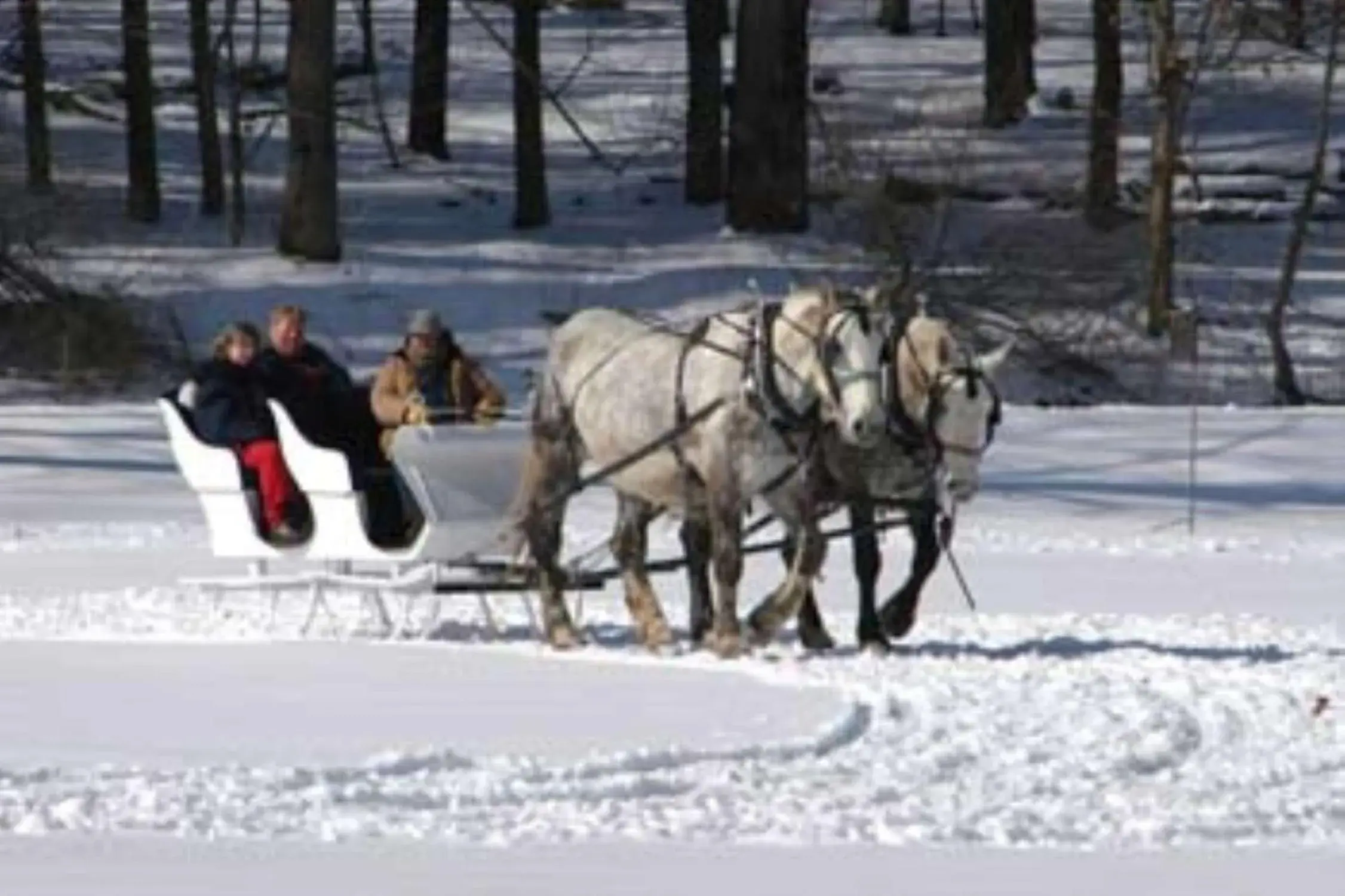Property building in Hampton Inn Geneseo Property building in Hampton Inn Geneseo
