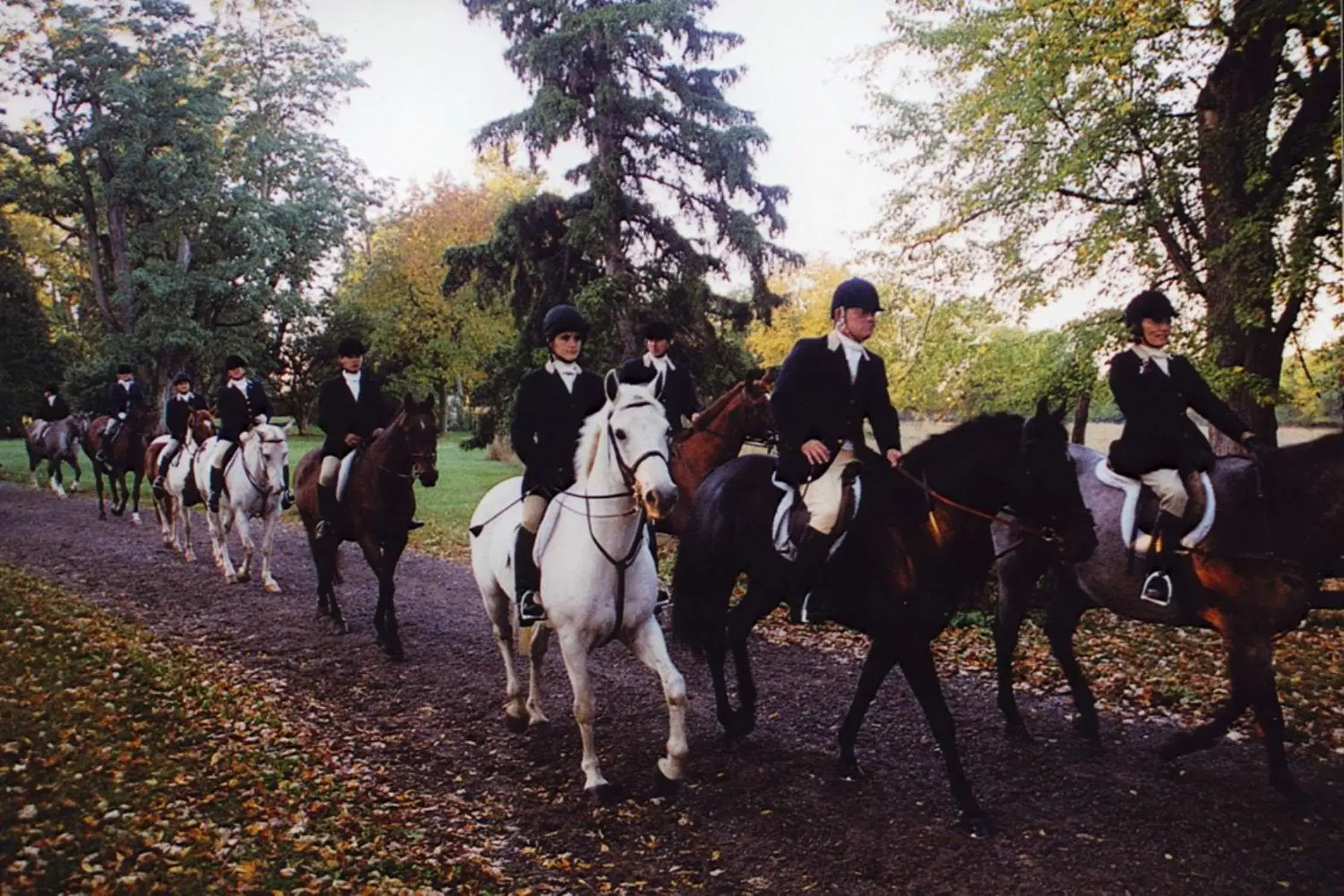 Property building in Hampton Inn Geneseo Property building in Hampton Inn Geneseo