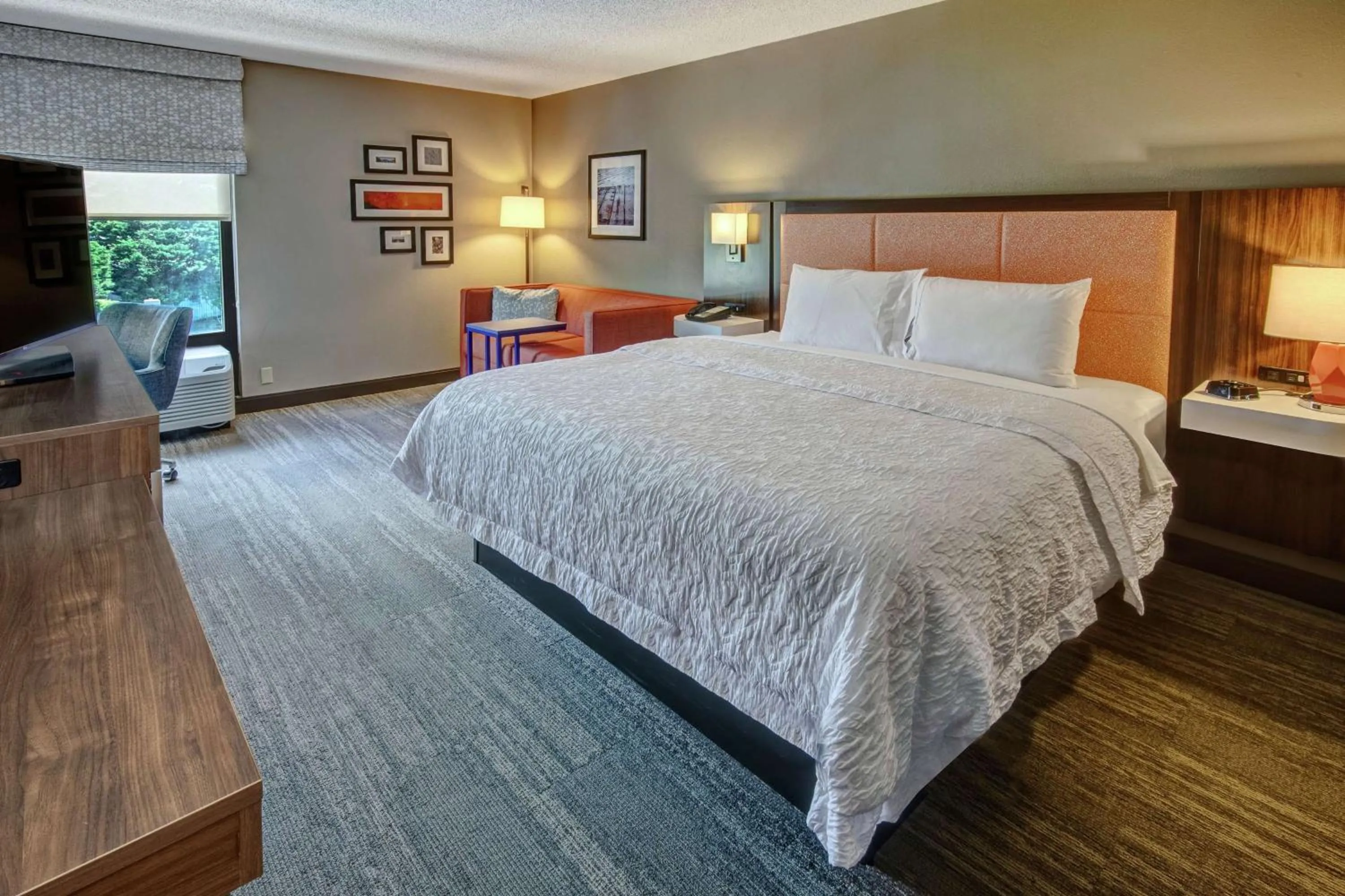 King Room - Non-Smoking in Hampton Inn Elizabeth City