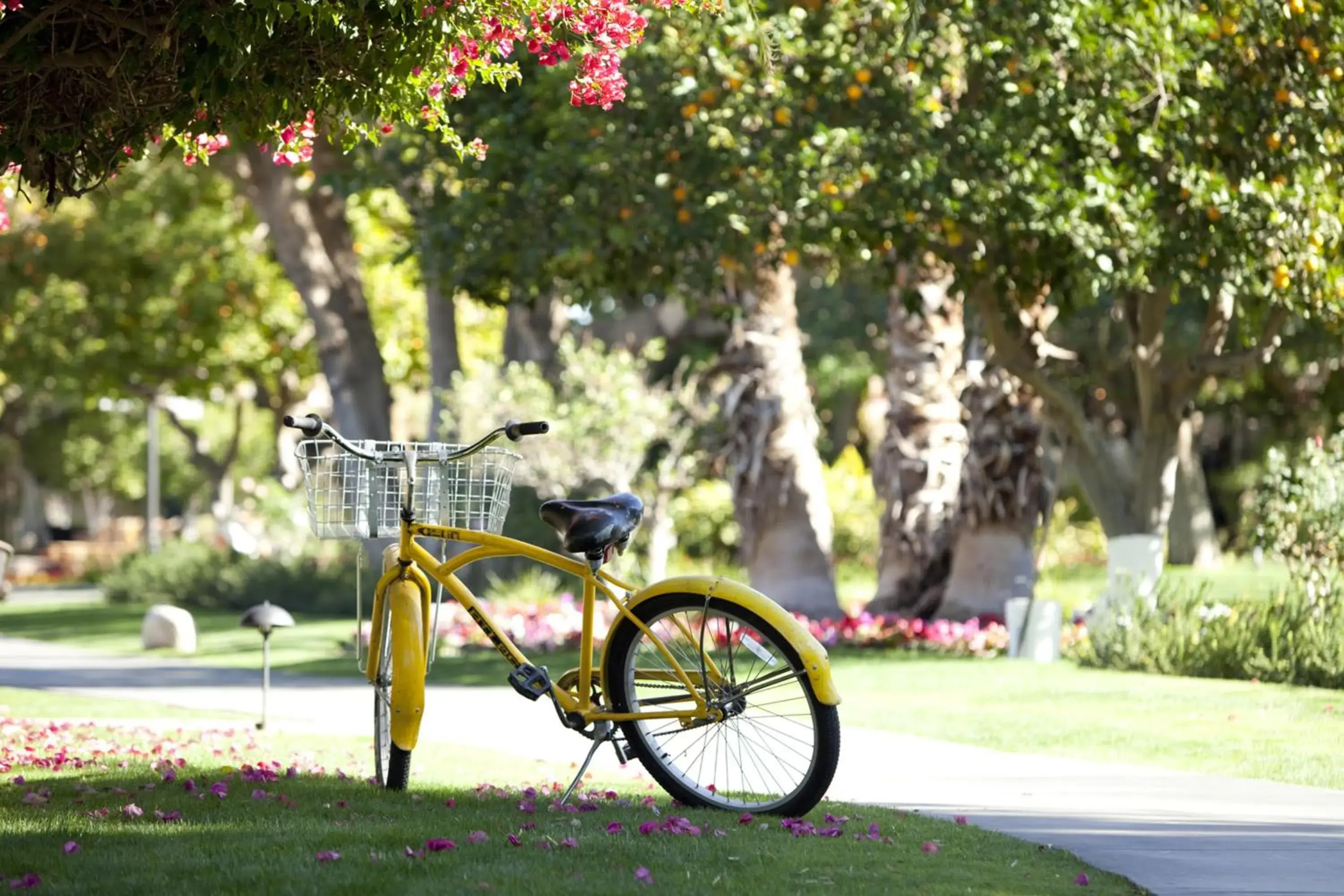 La Quinta Resort & Club La Quinta Resort & Club