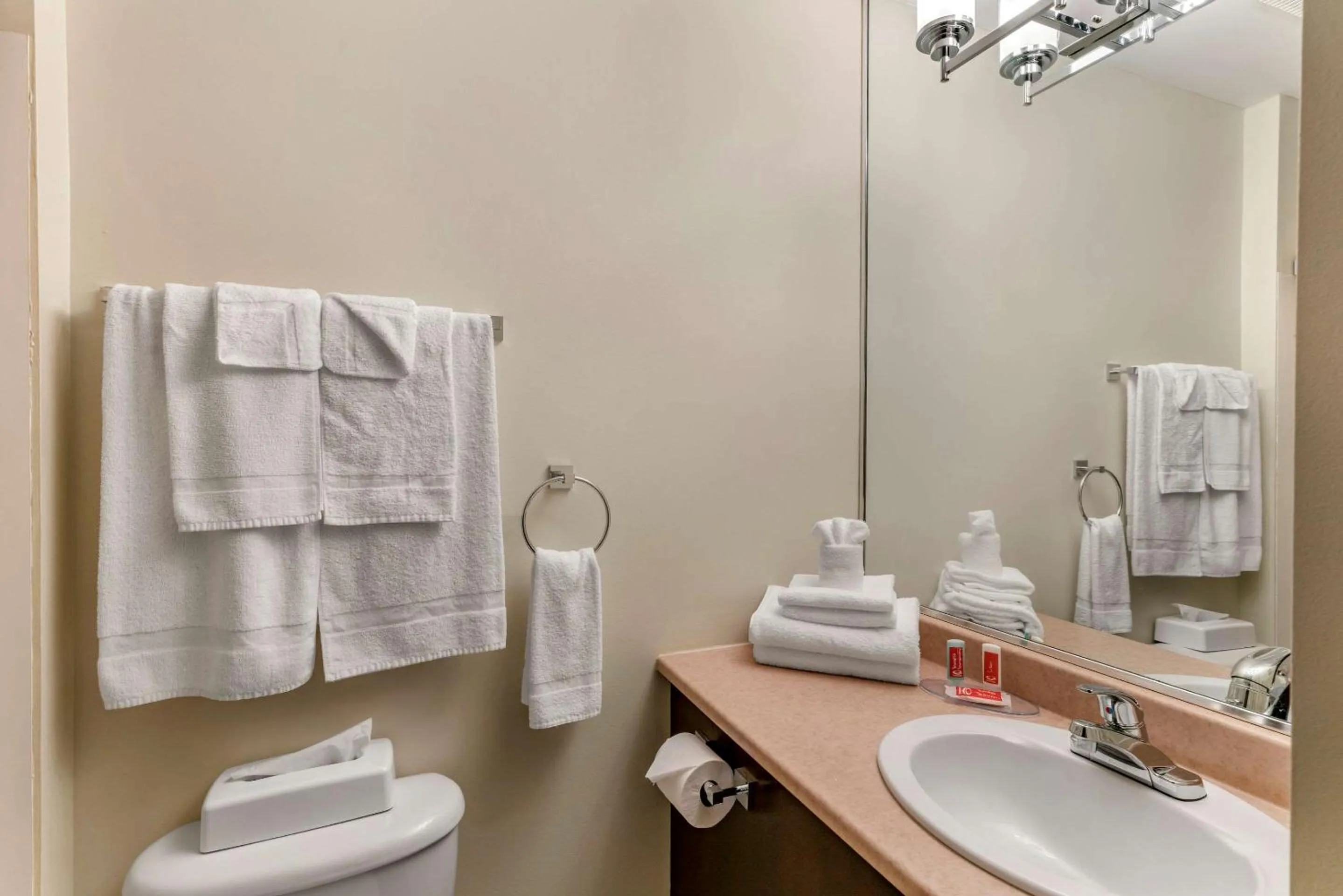 Bathroom in Econo Lodge Hotel Brossard