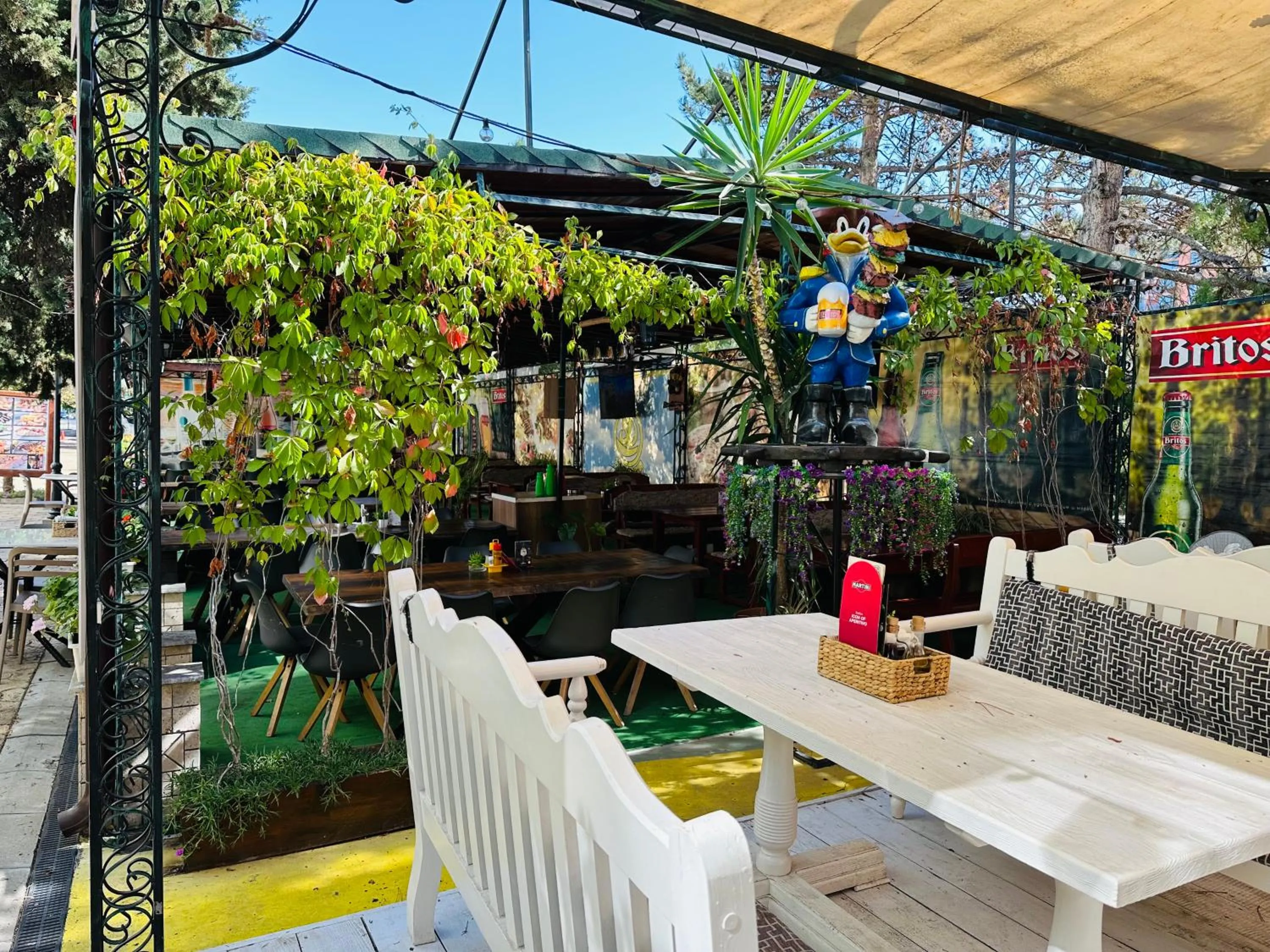 Sunny Day Club Hotel