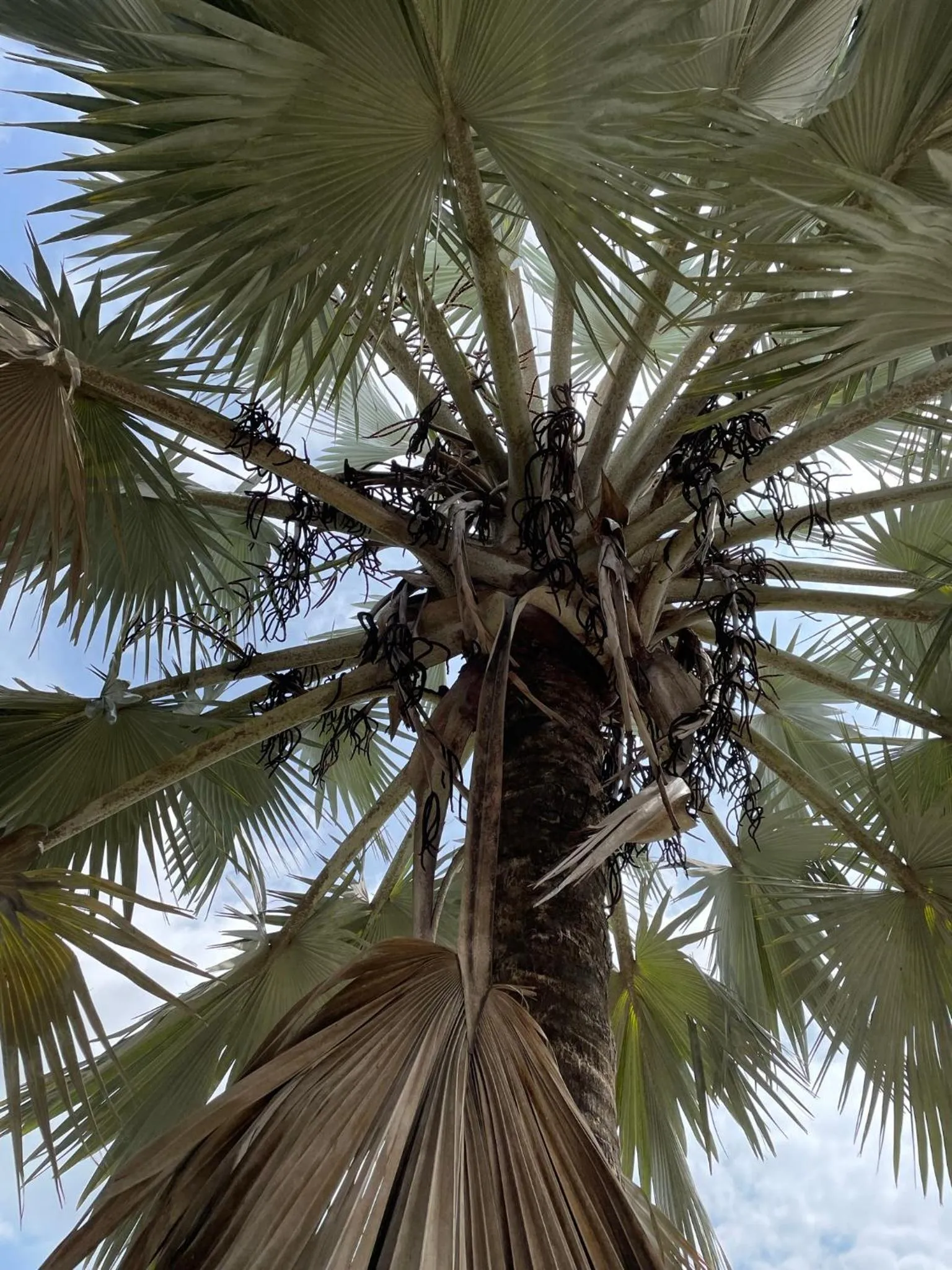 Natural landscape in La Manola Finca Hotel