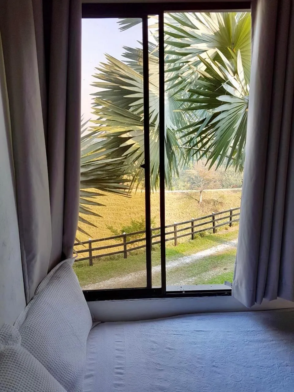 Swimming pool in La Manola Finca Hotel