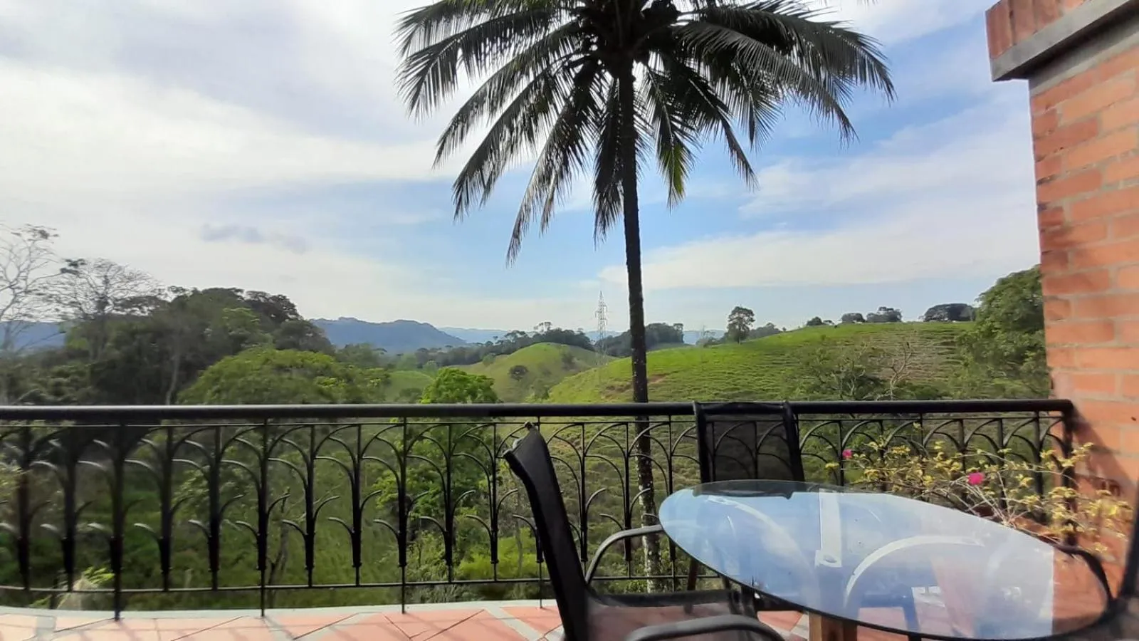 View (from property/room) in La Manola Finca Hotel