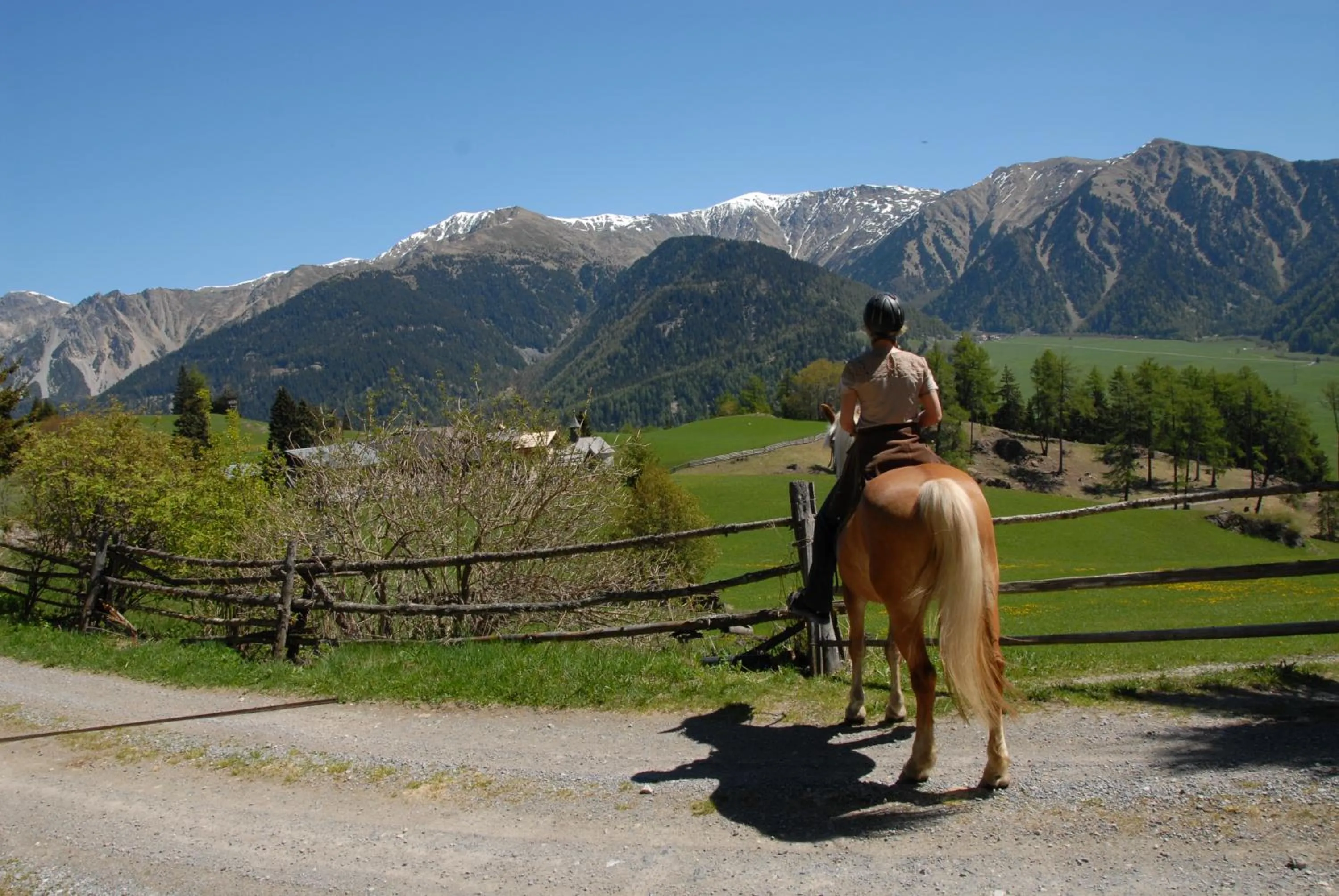 Horse-riding in Landhotel Anna