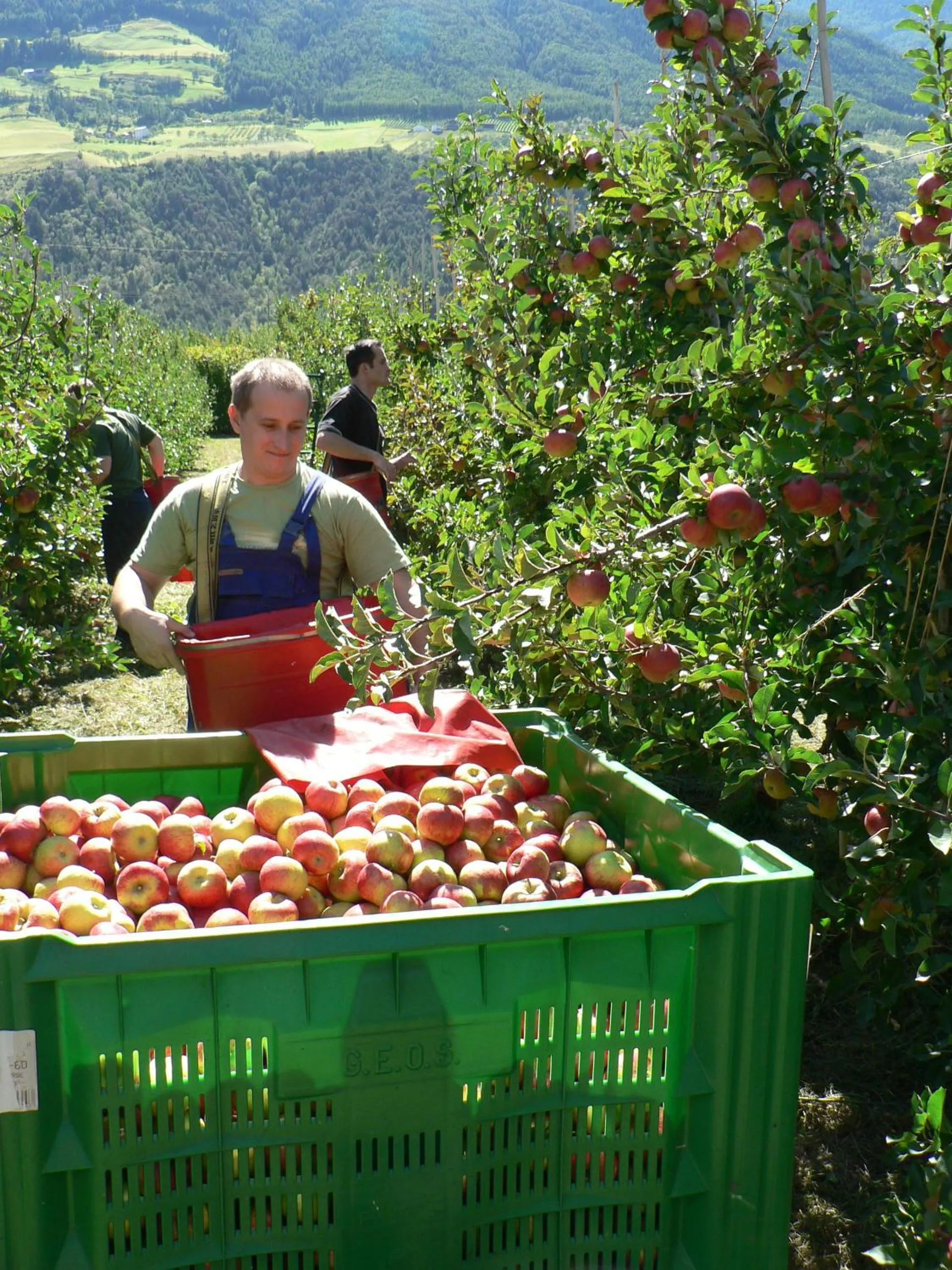 Autumn in Landhotel Anna