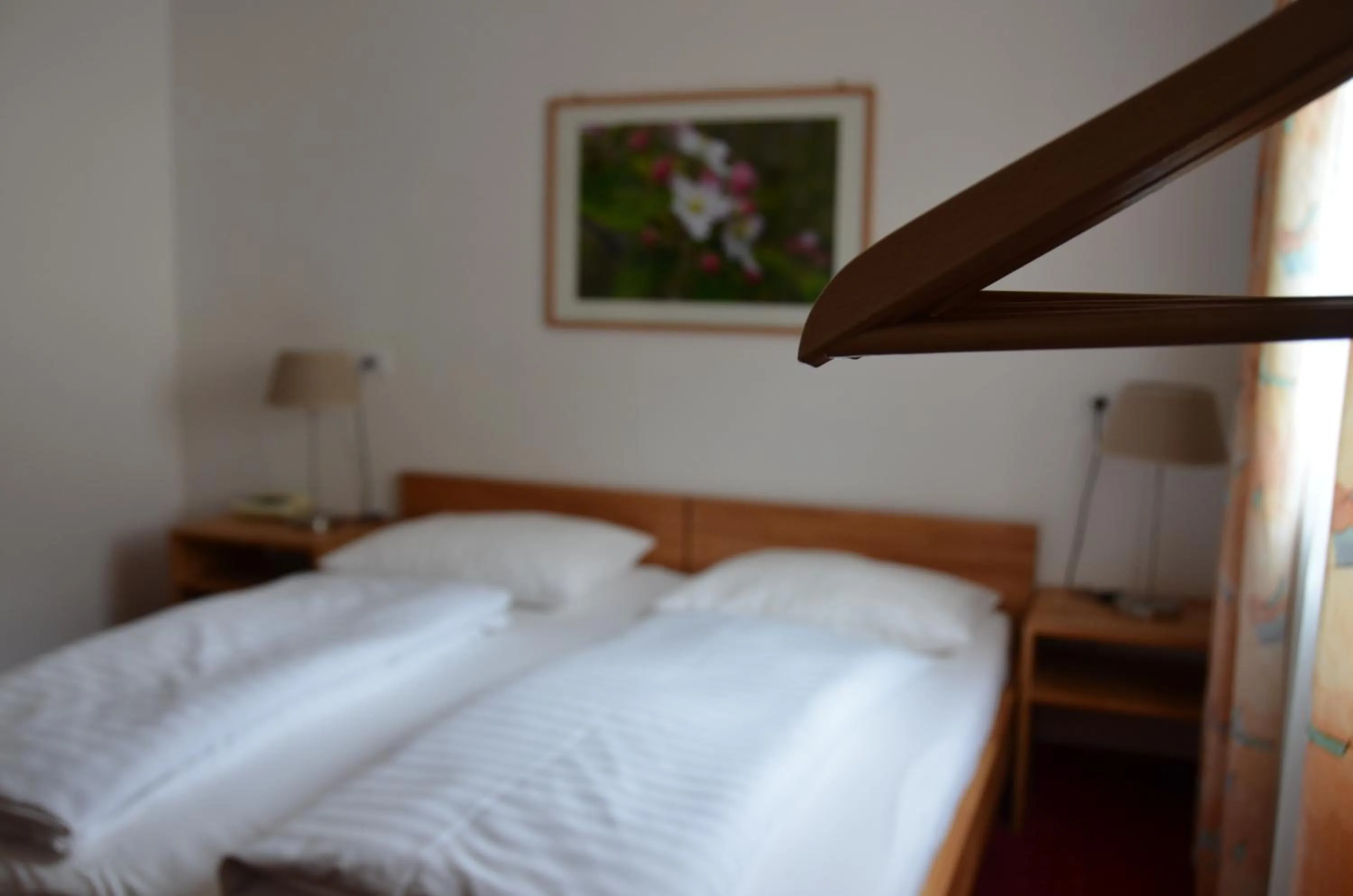 Photo of the whole room, Bed in Landhotel Anna