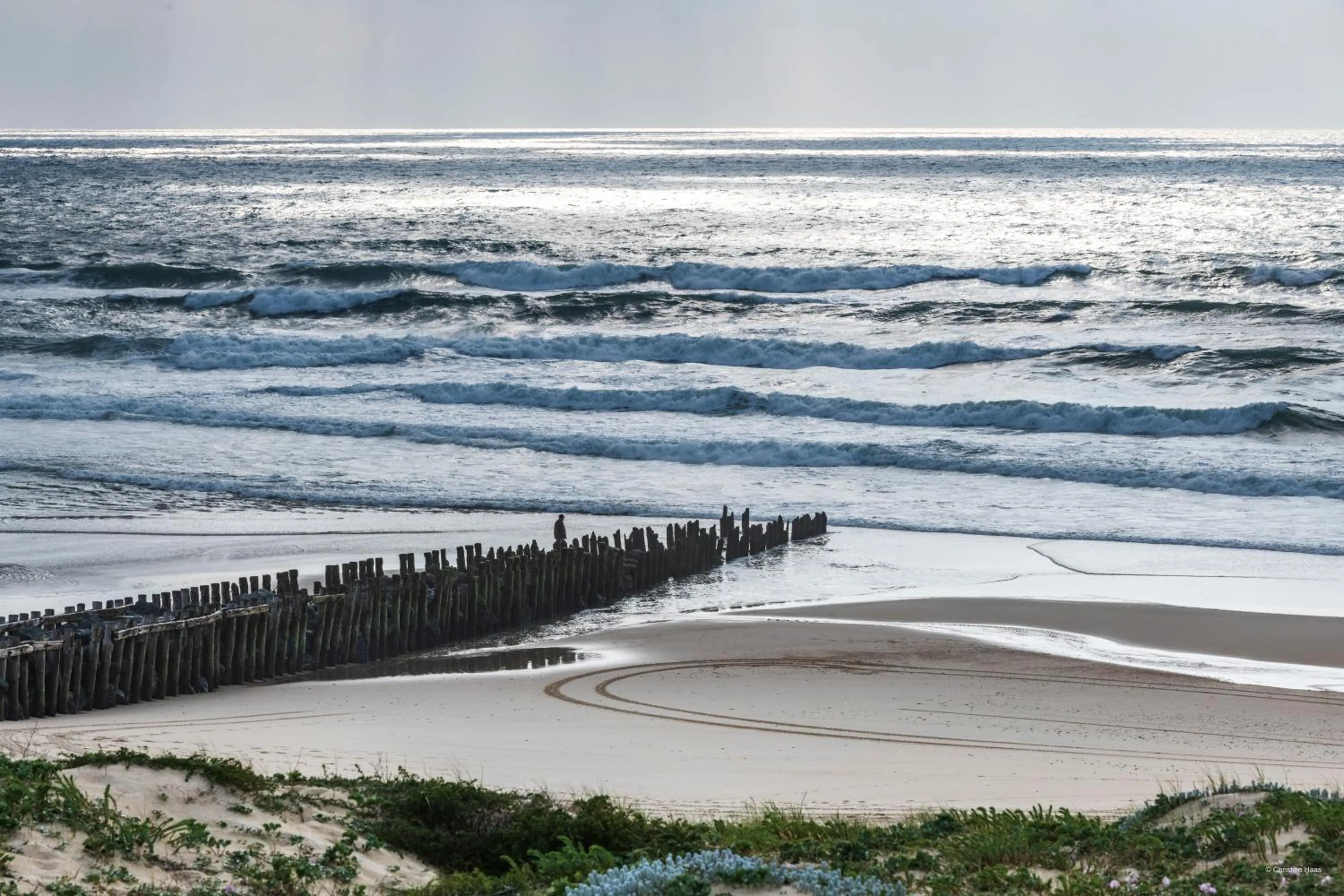Nearby landmark in CERISE Dax - Les Jardins du Lac