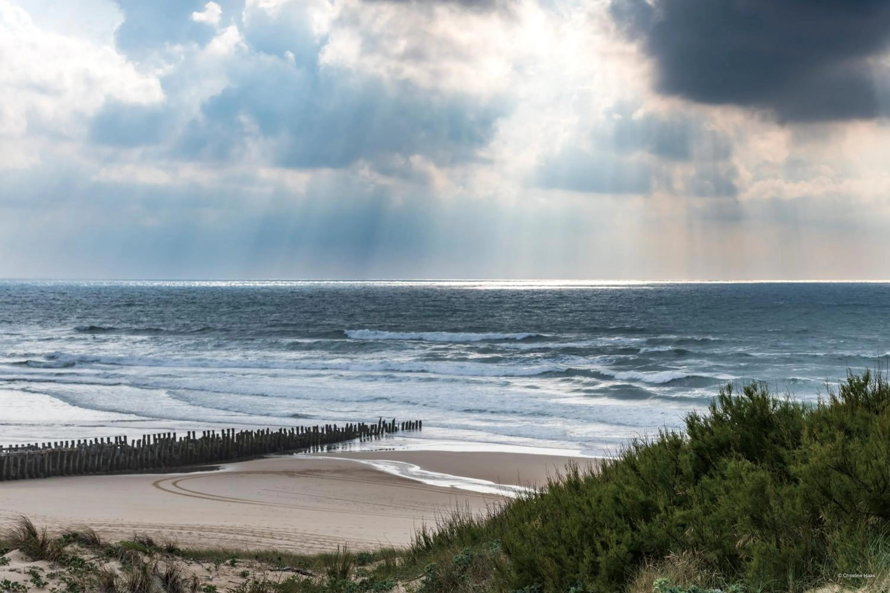 Nearby landmark in CERISE Dax - Les Jardins du Lac
