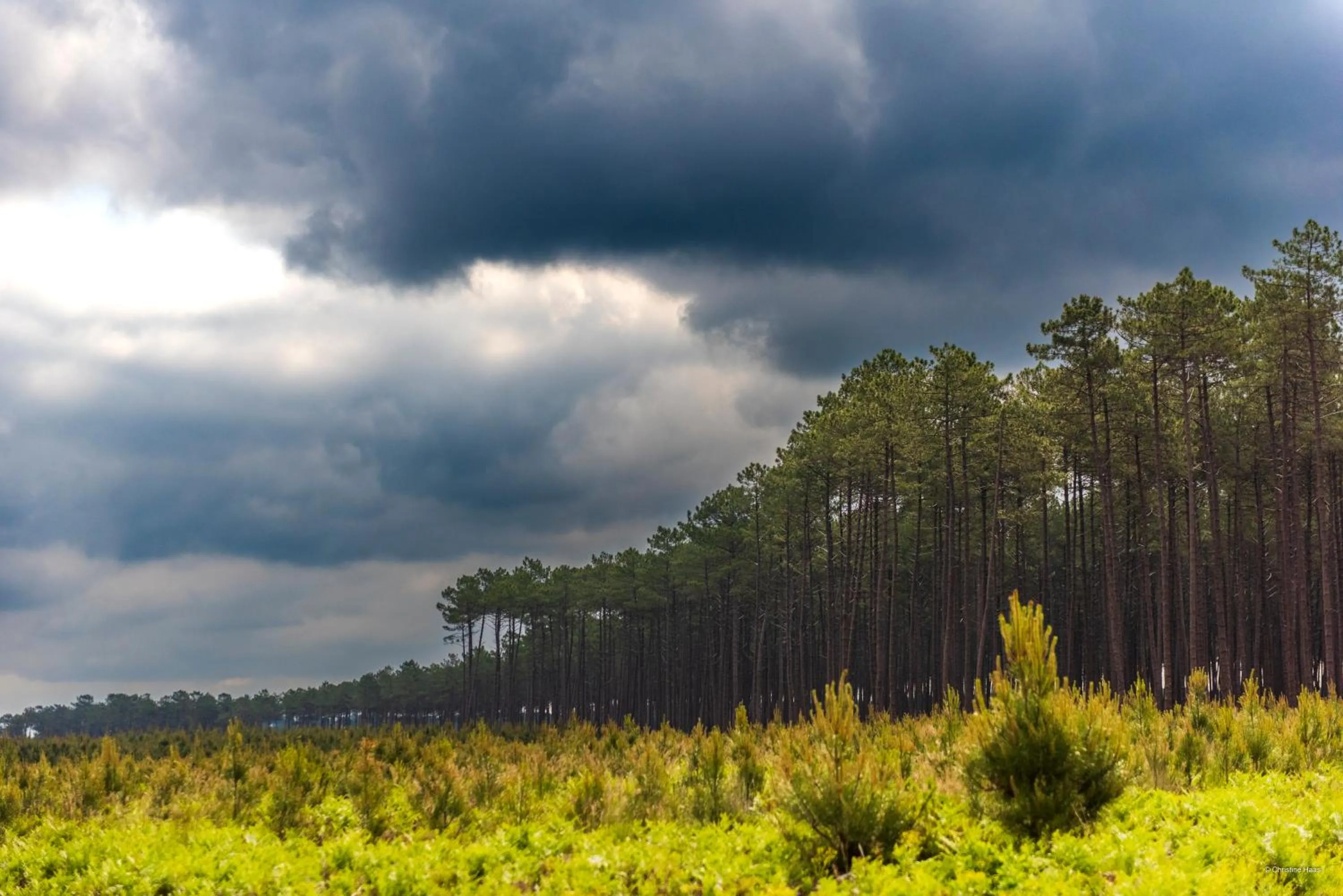 Nearby landmark in CERISE Dax - Les Jardins du Lac