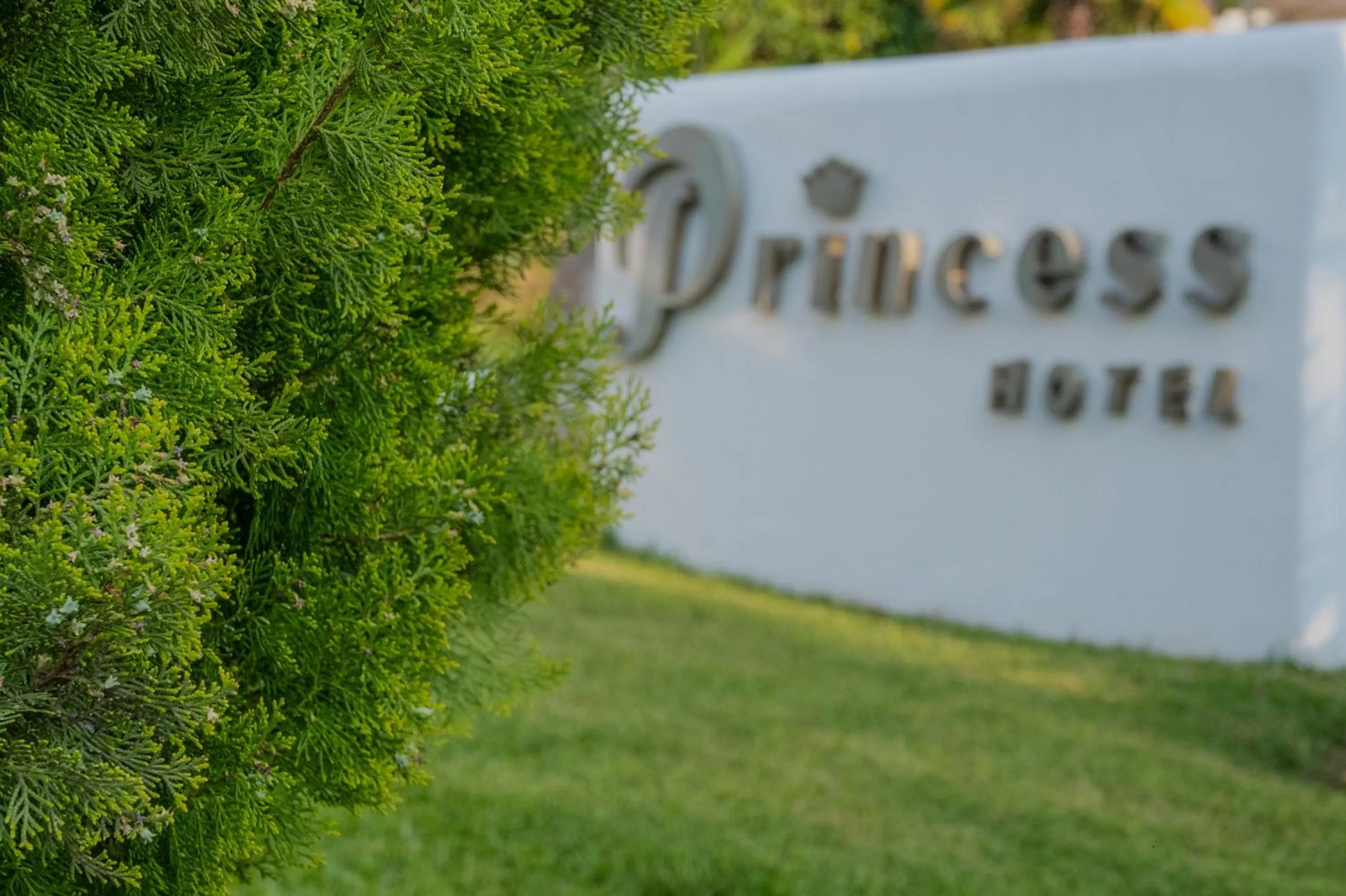 Property building in Princess Hotel