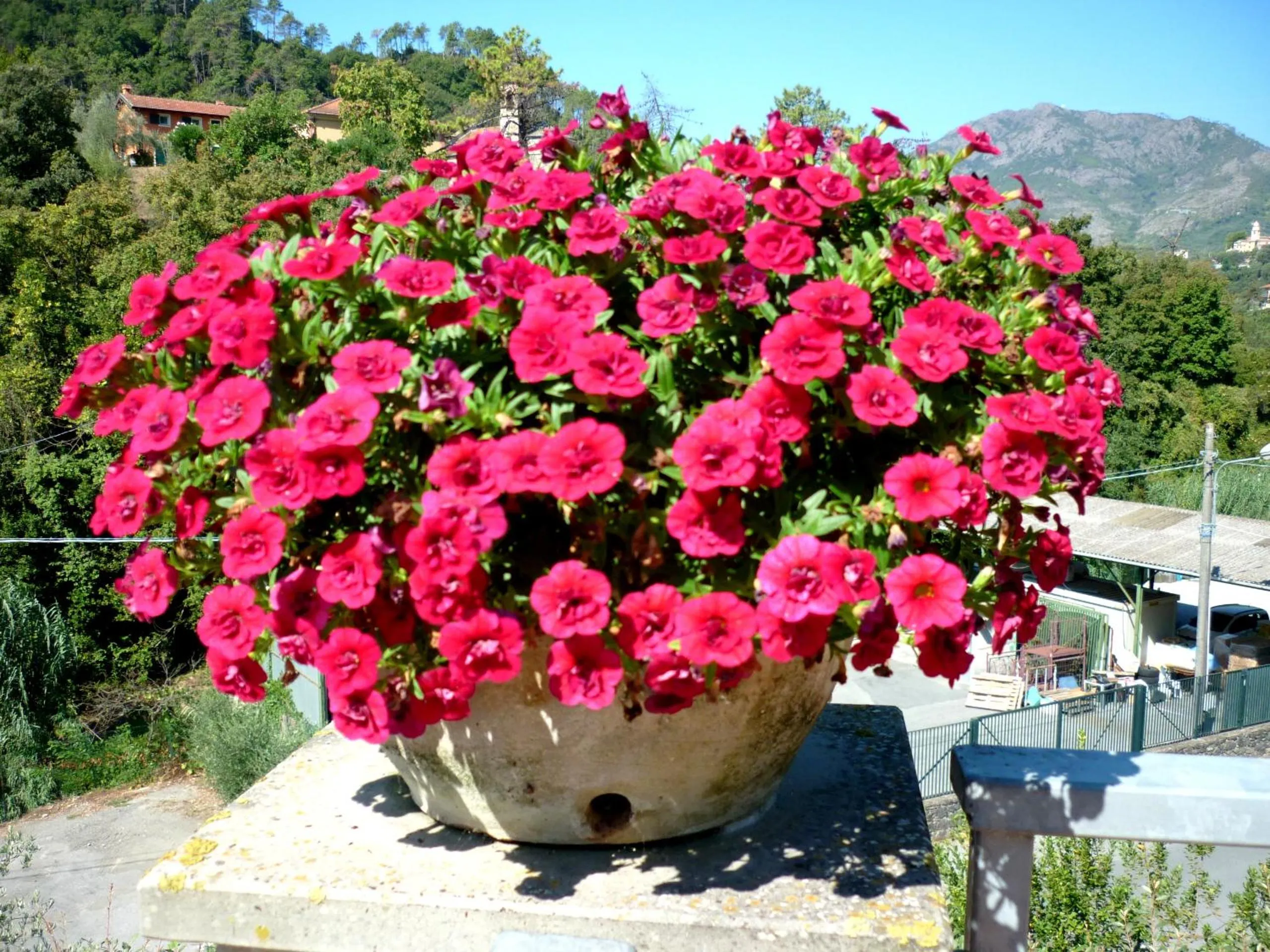 Balcony/Terrace in Costa Morroni