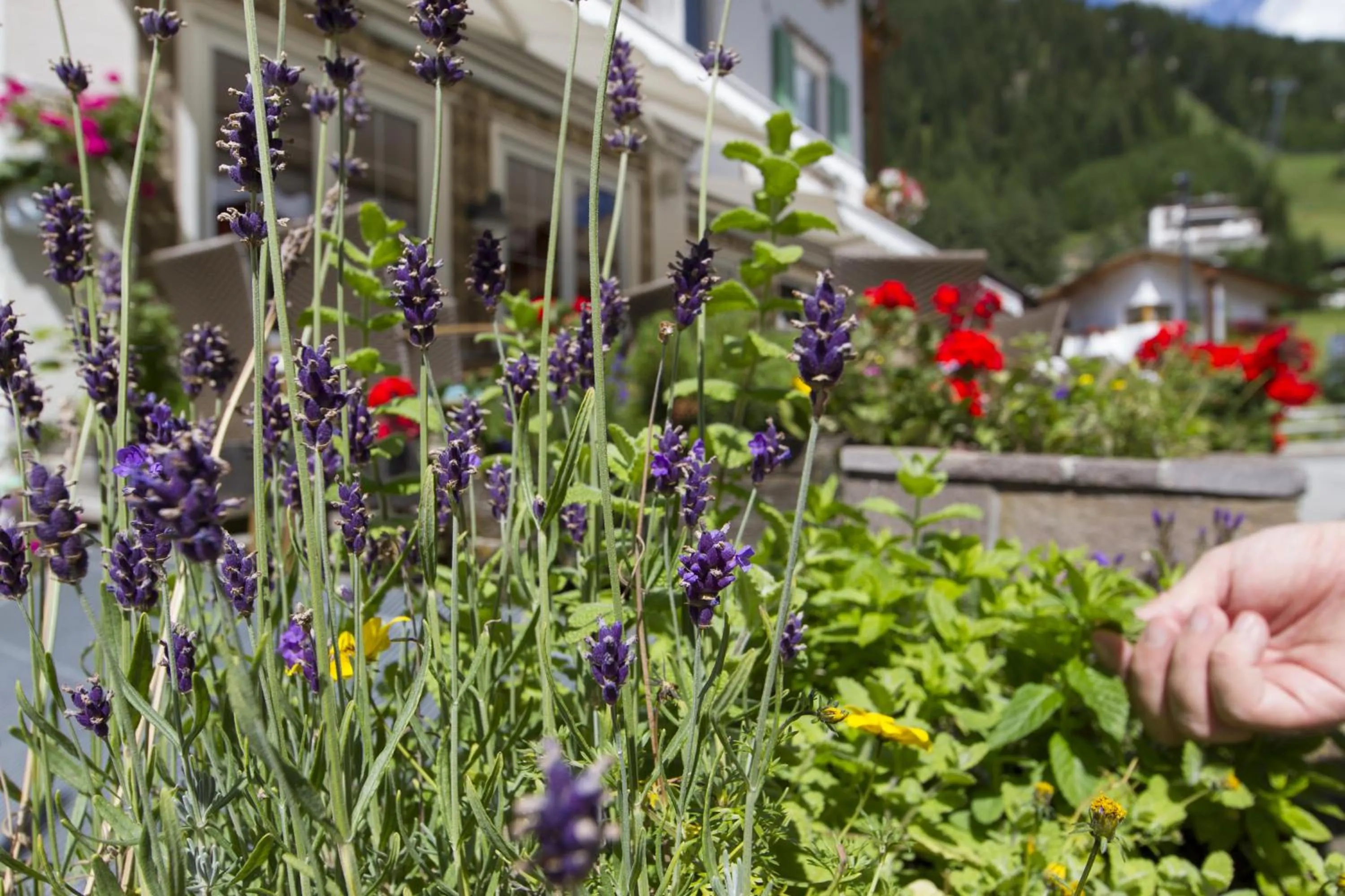 Other in Chalet Madrisa