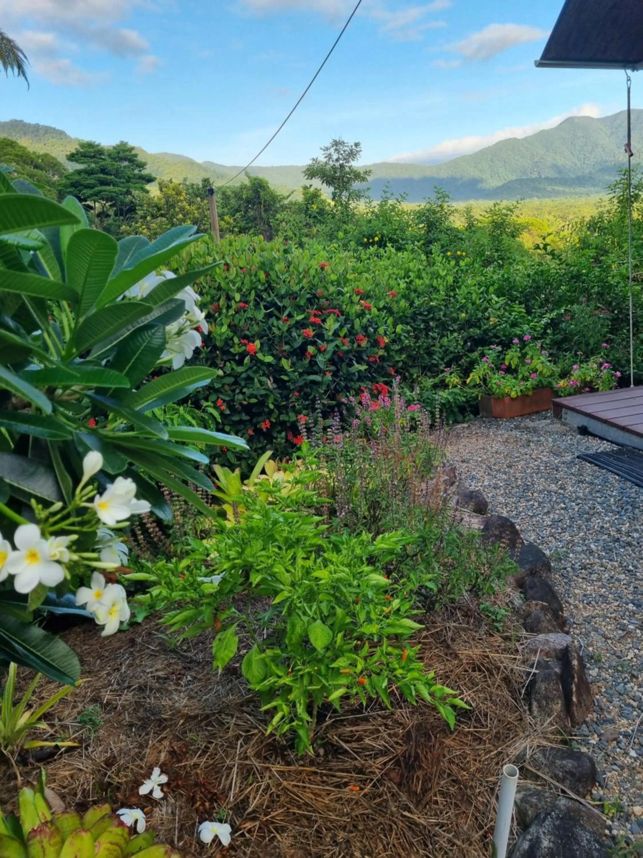 Garden in Wompoo Eco Retreat