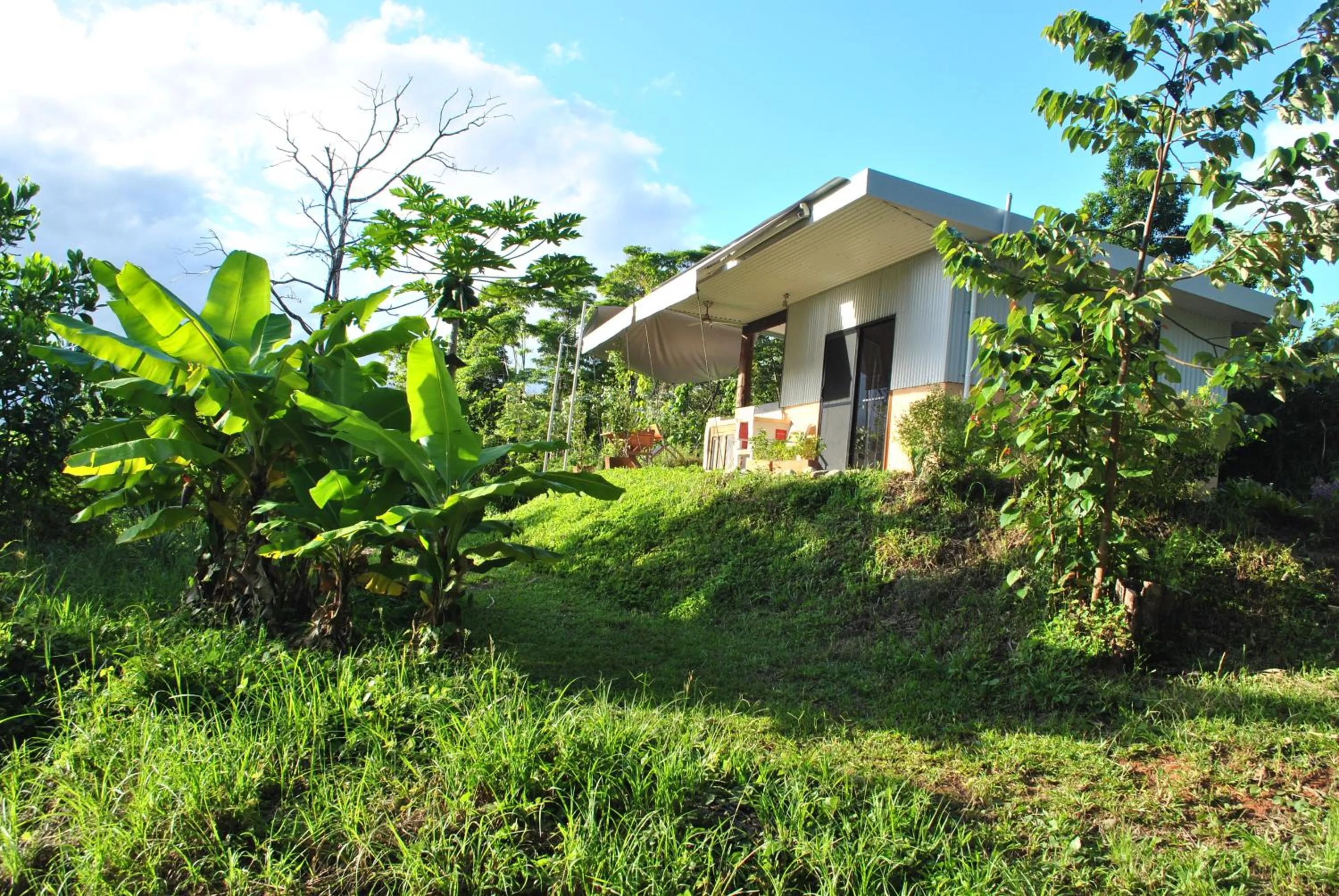 Garden in Wompoo Eco Retreat