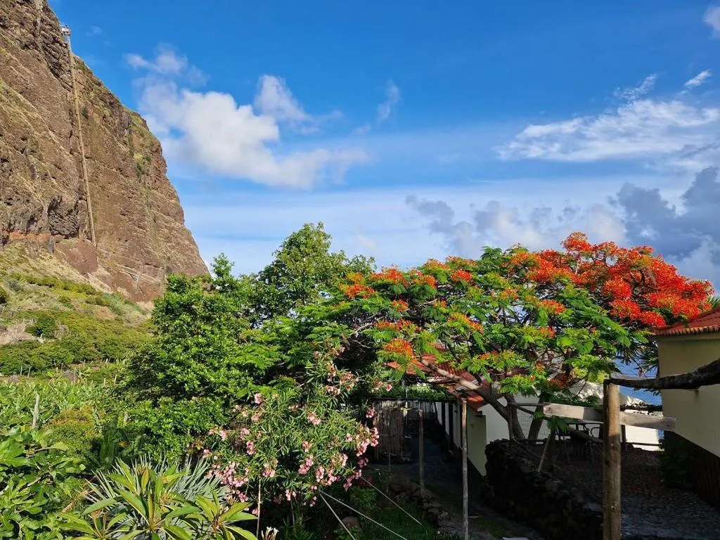 Garden in Faja dos Padres