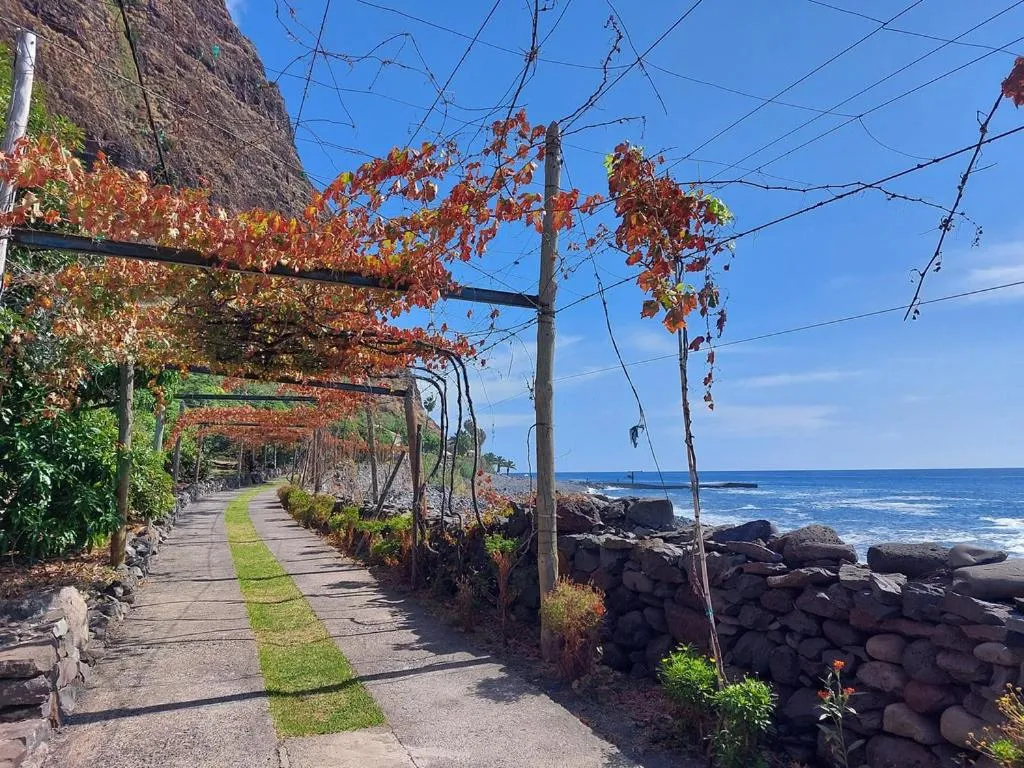 Garden in Faja dos Padres