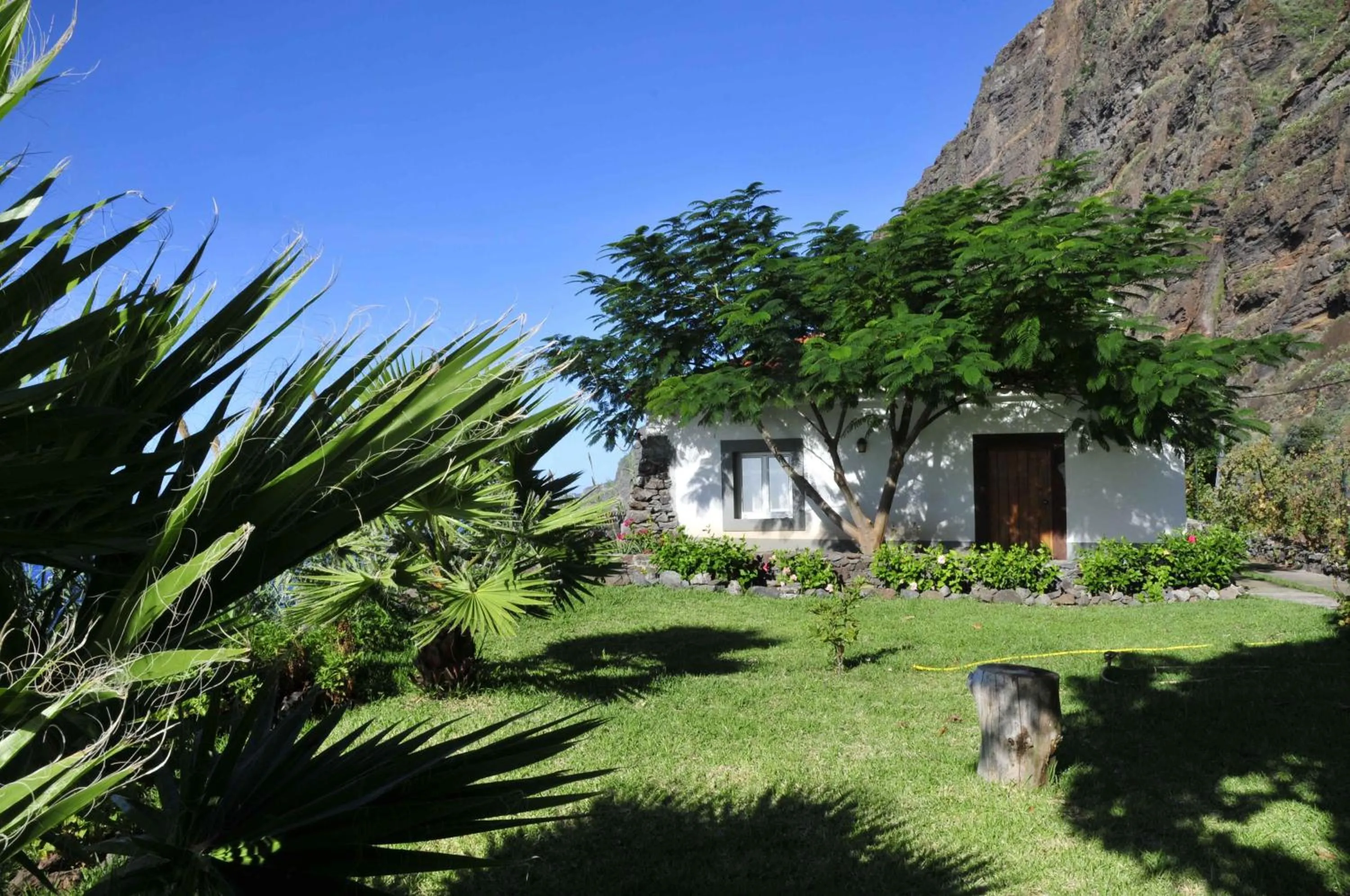 Garden in Faja dos Padres